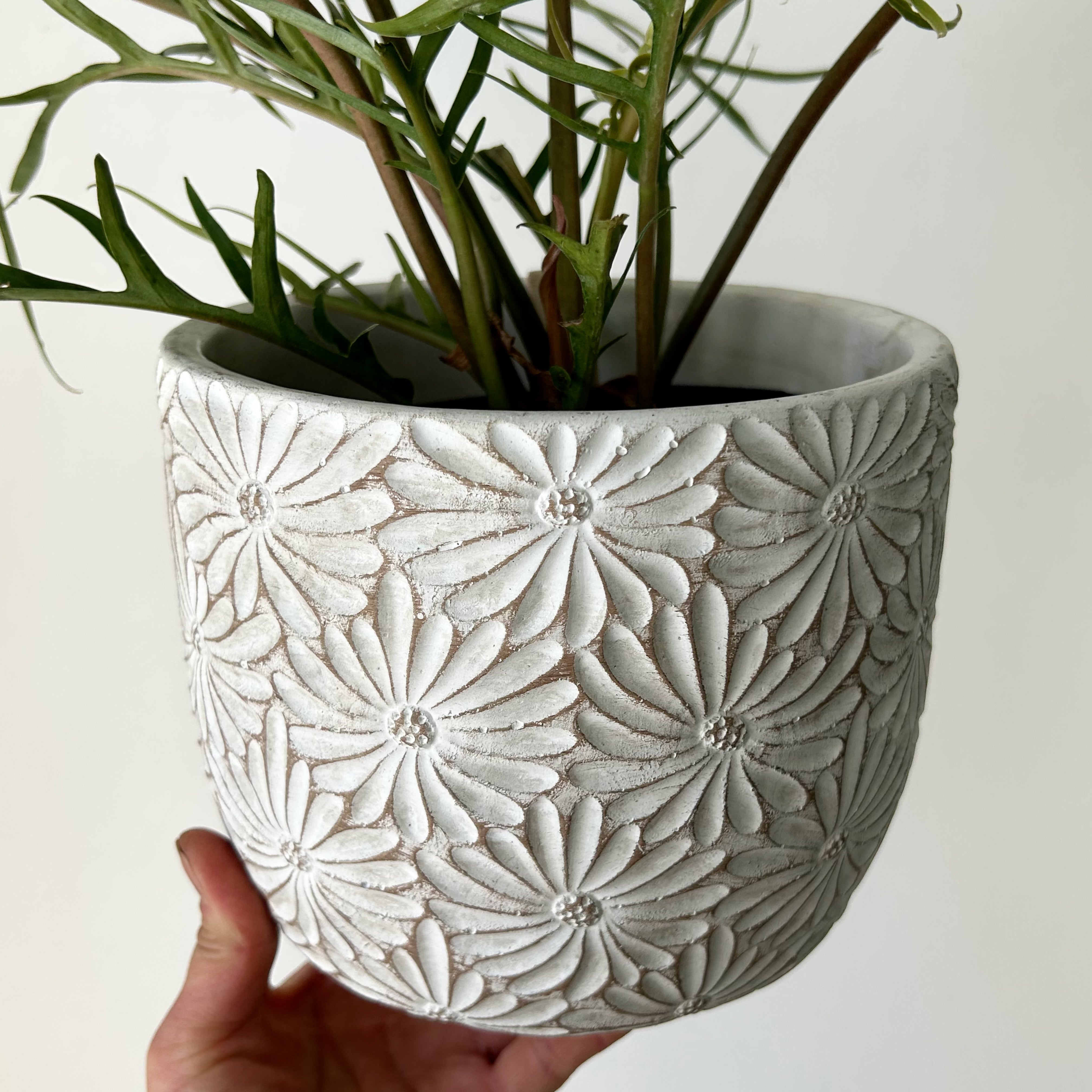 DAISY decorative cement pot