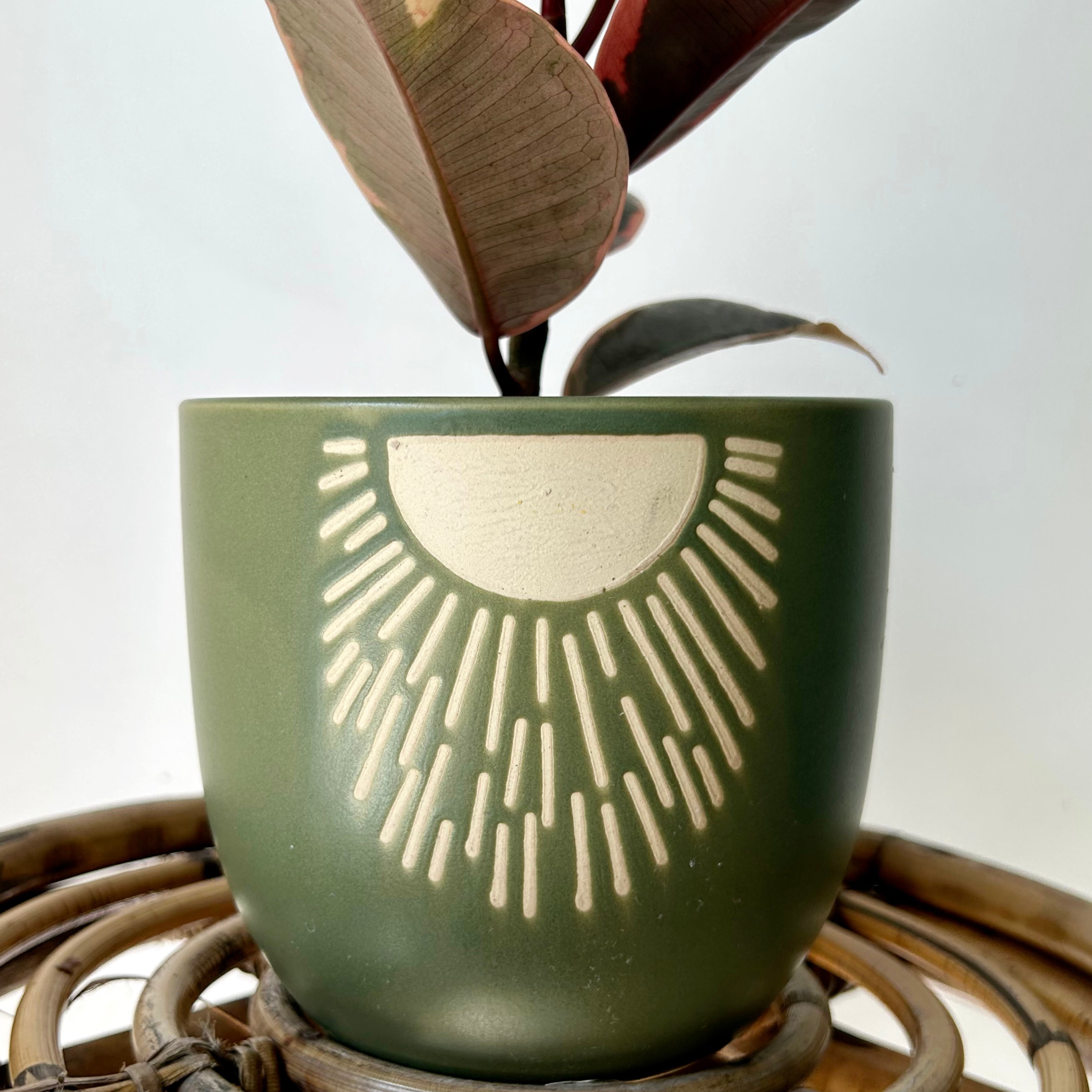 MEADOW Decorative Pot (5.25”x5”)