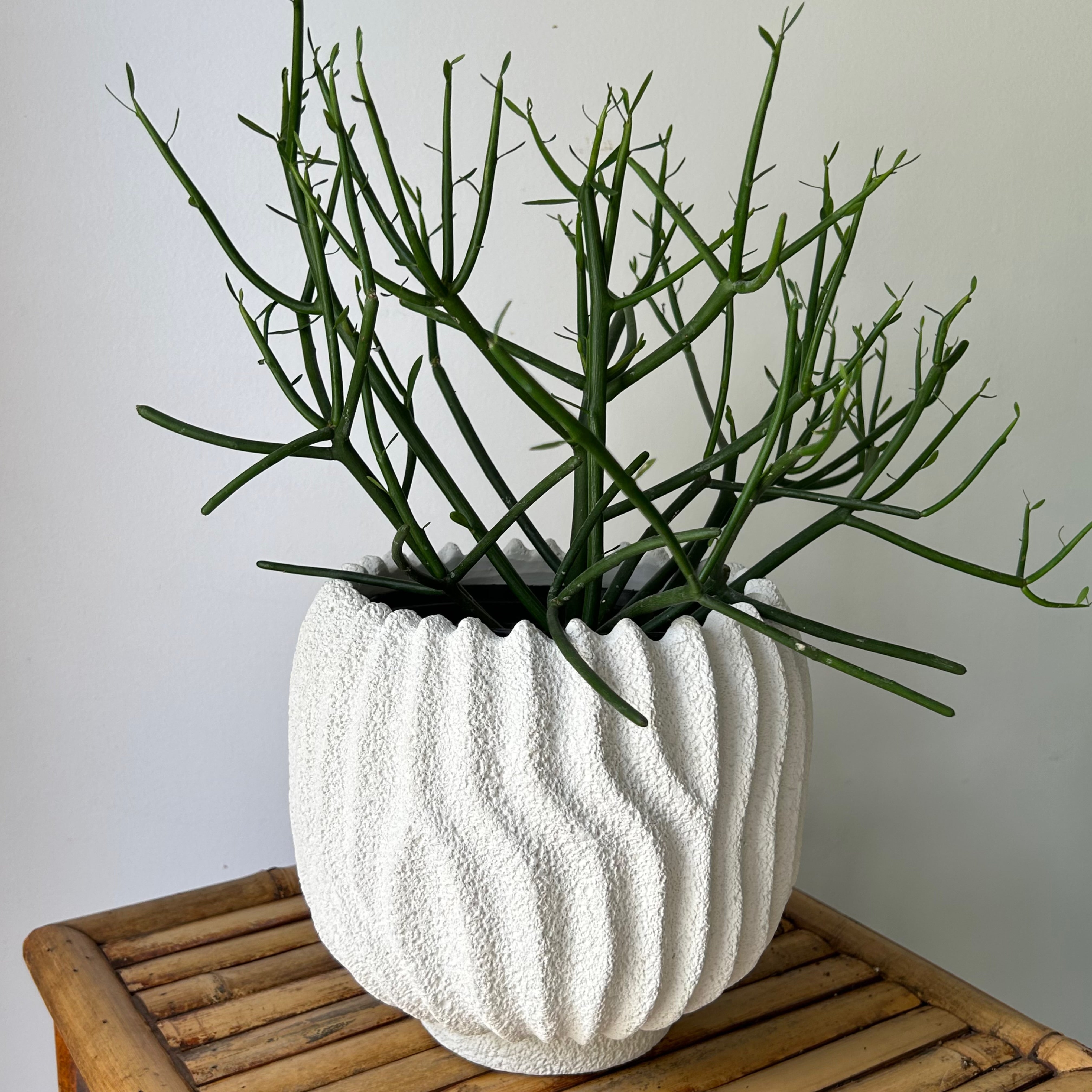 CASPIAN decorative textured cement pot (available in two sizes)