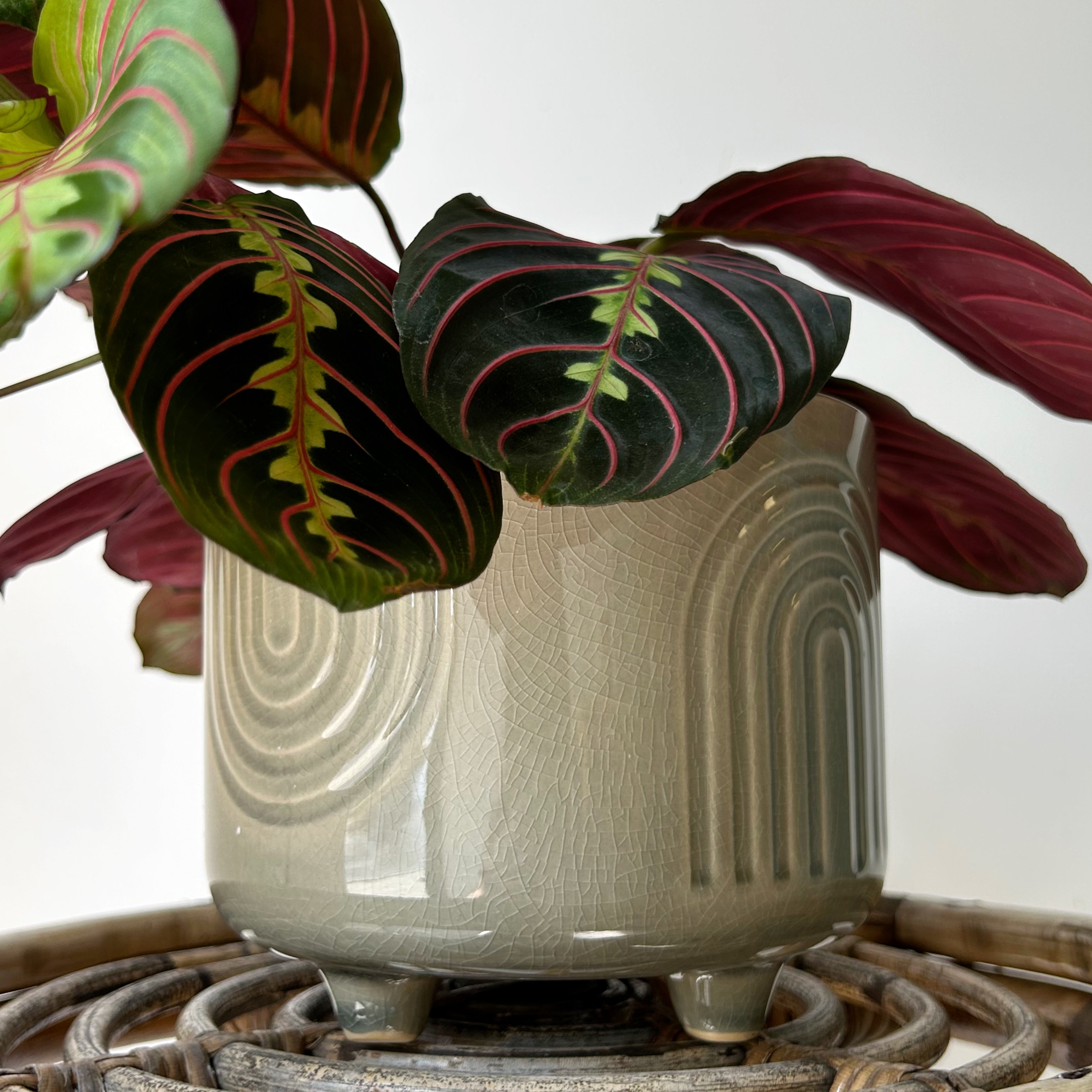 TEMPLE Decorative footed pot Olive Green (available in two sizes)