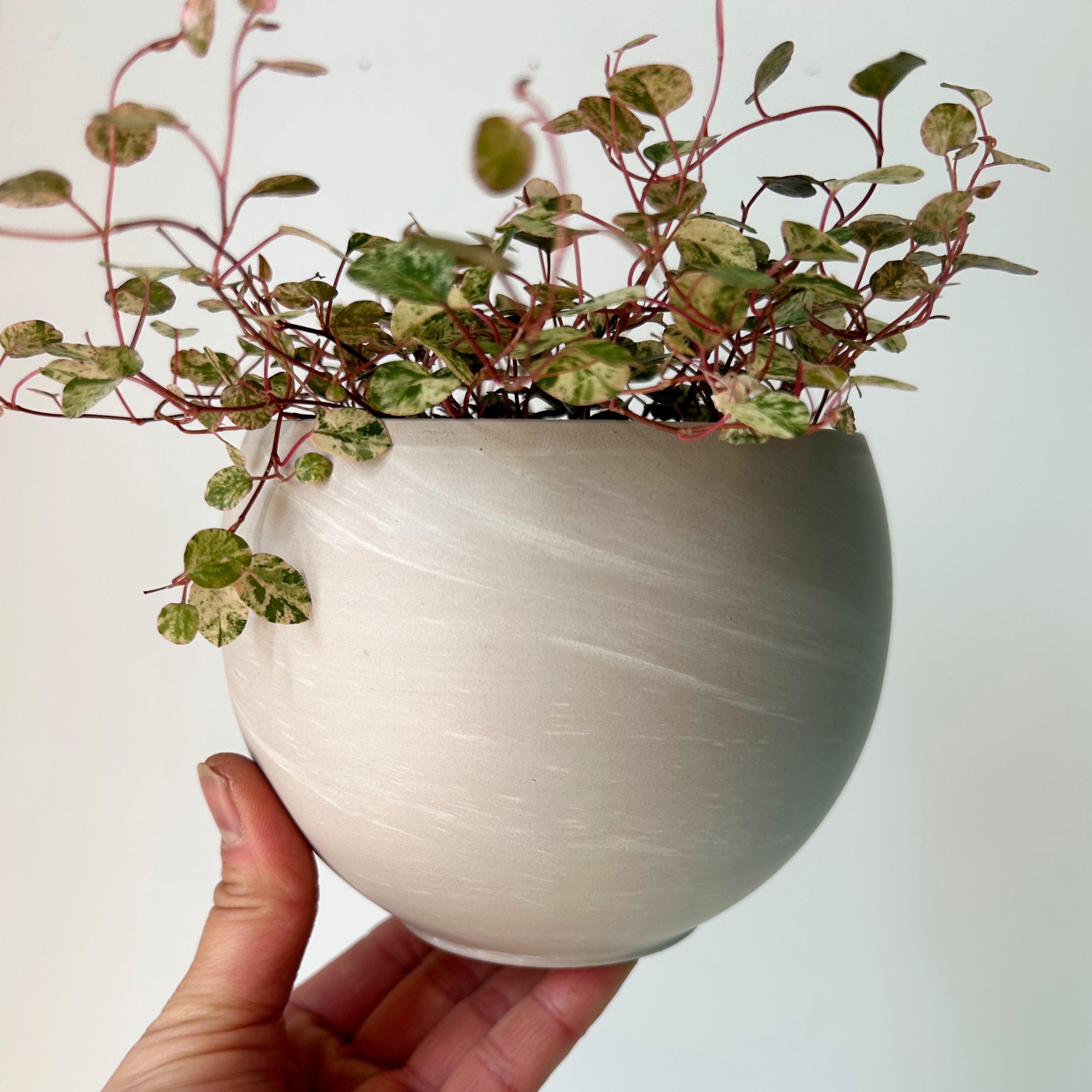 SHILOH Decorative Sphere Clay Pot