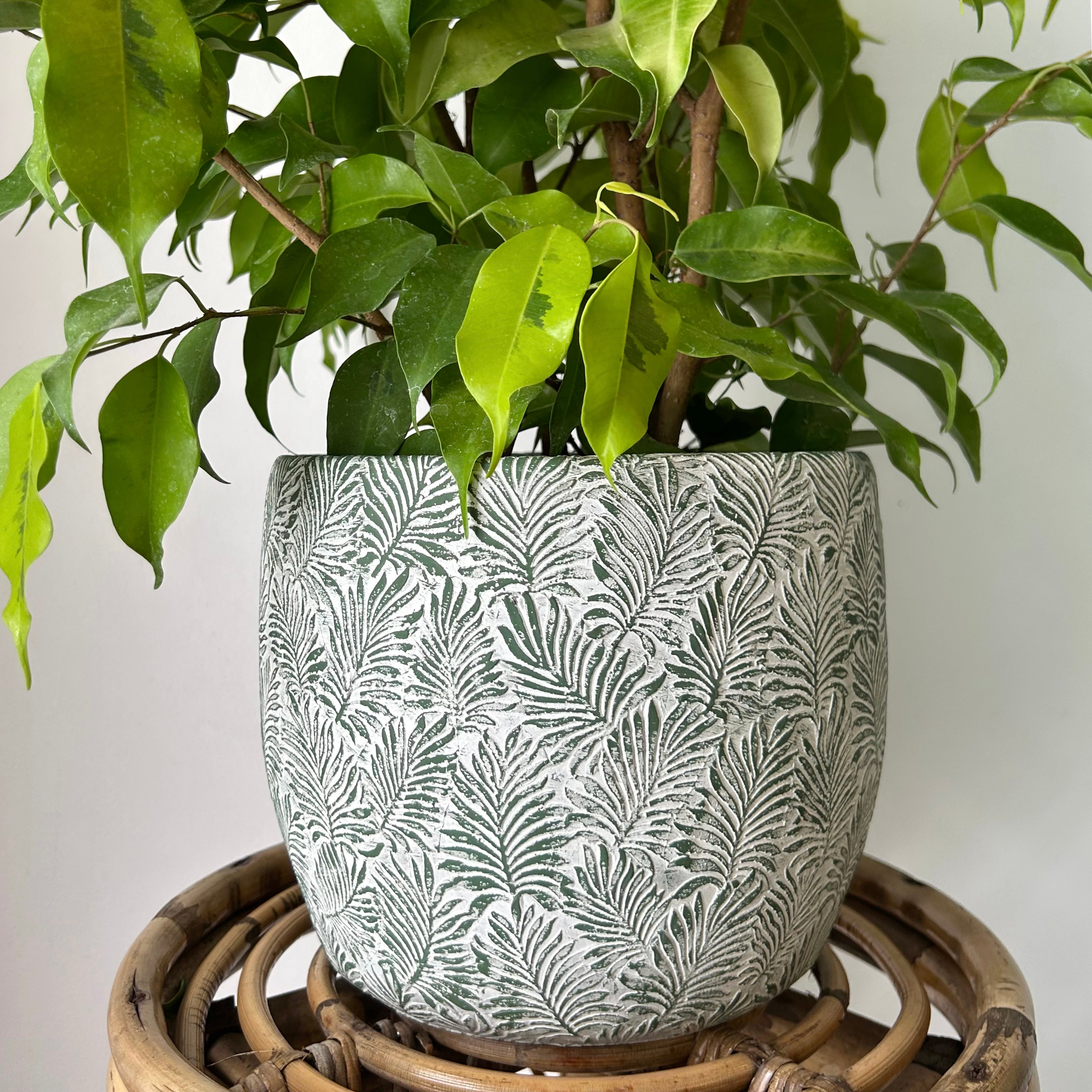 FERNANDA Decorative Cement Pot