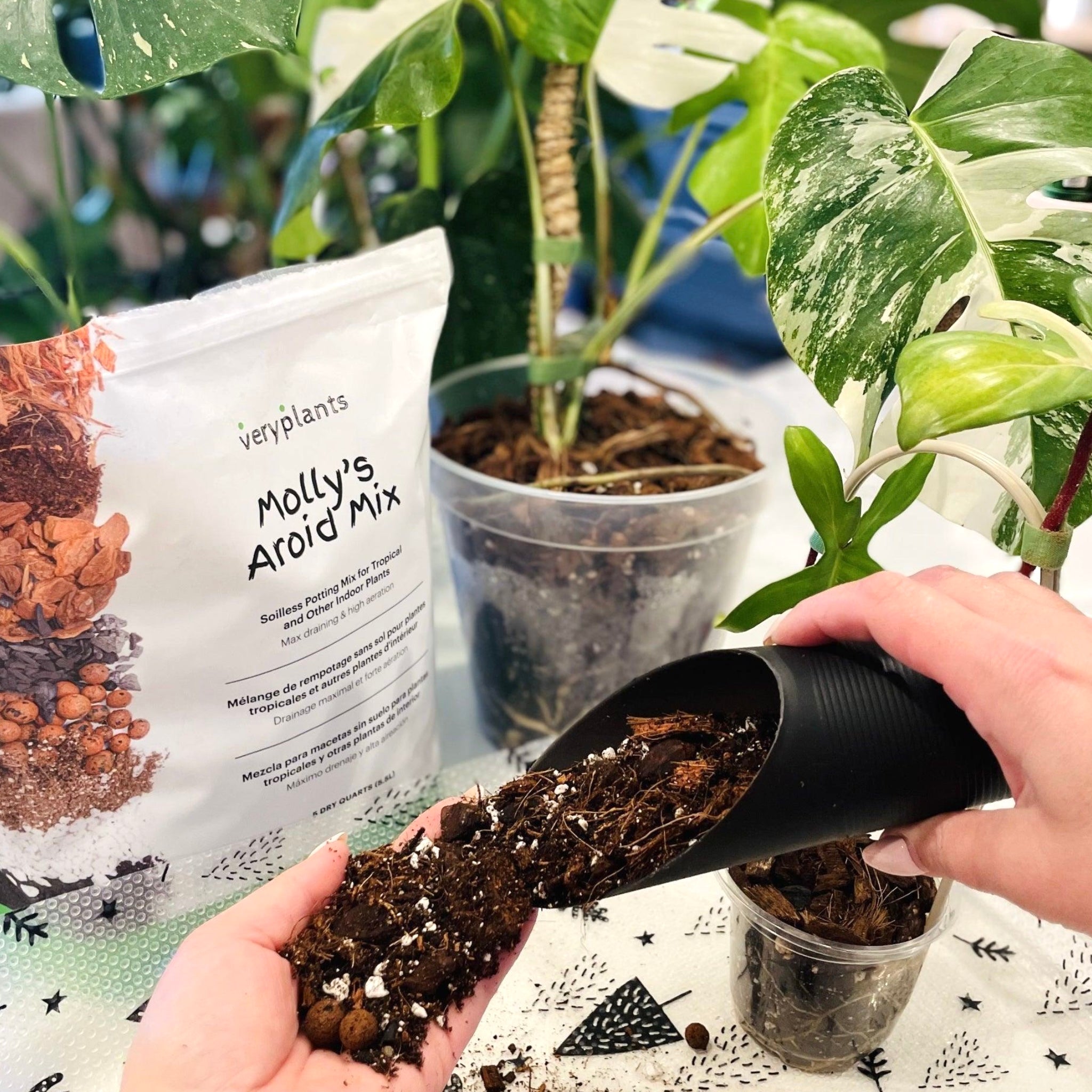 Molly's Aroid Mix - Premium Tropical Plant Potting Mix