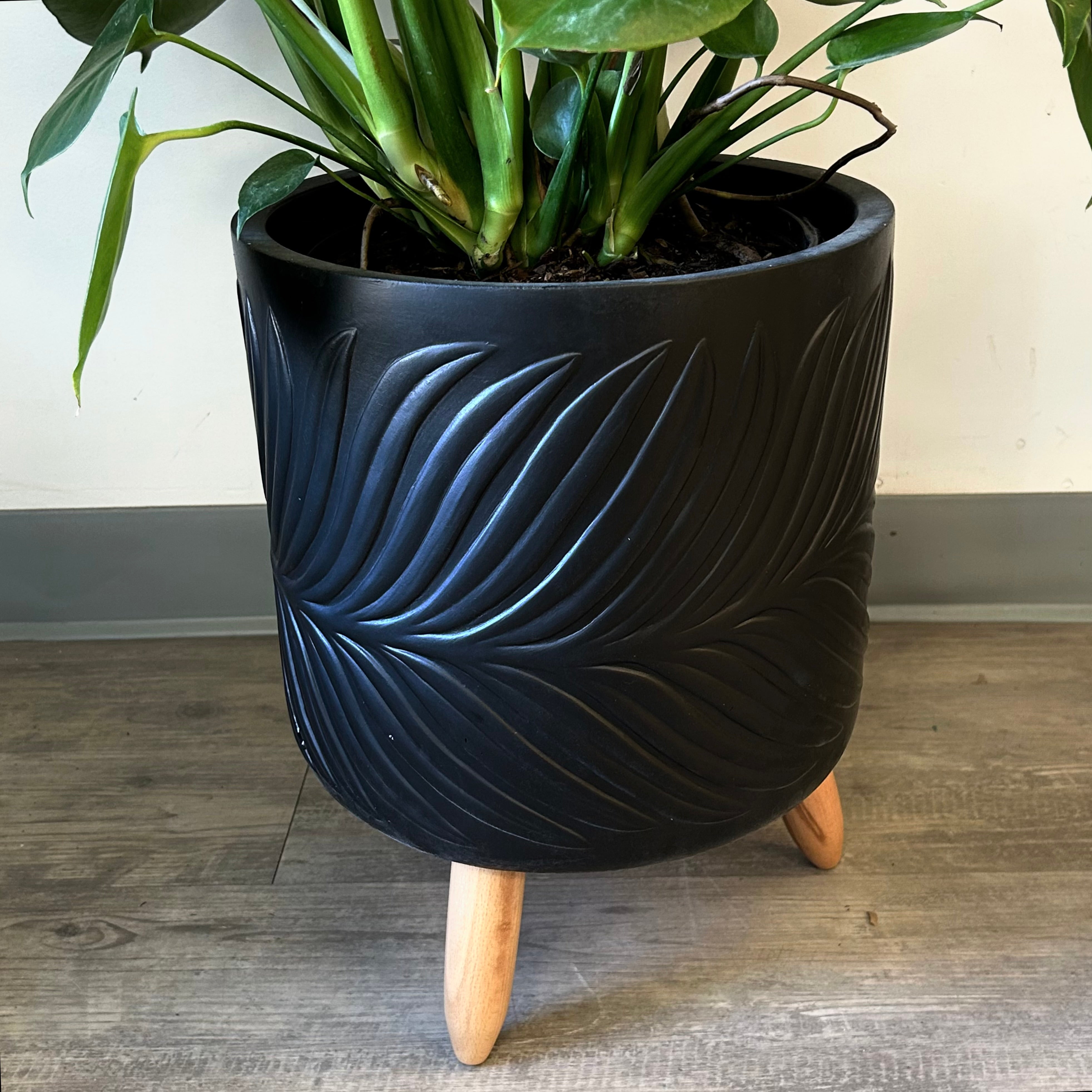 BEATRICE Plant Stand tripod (available in multiple colours)