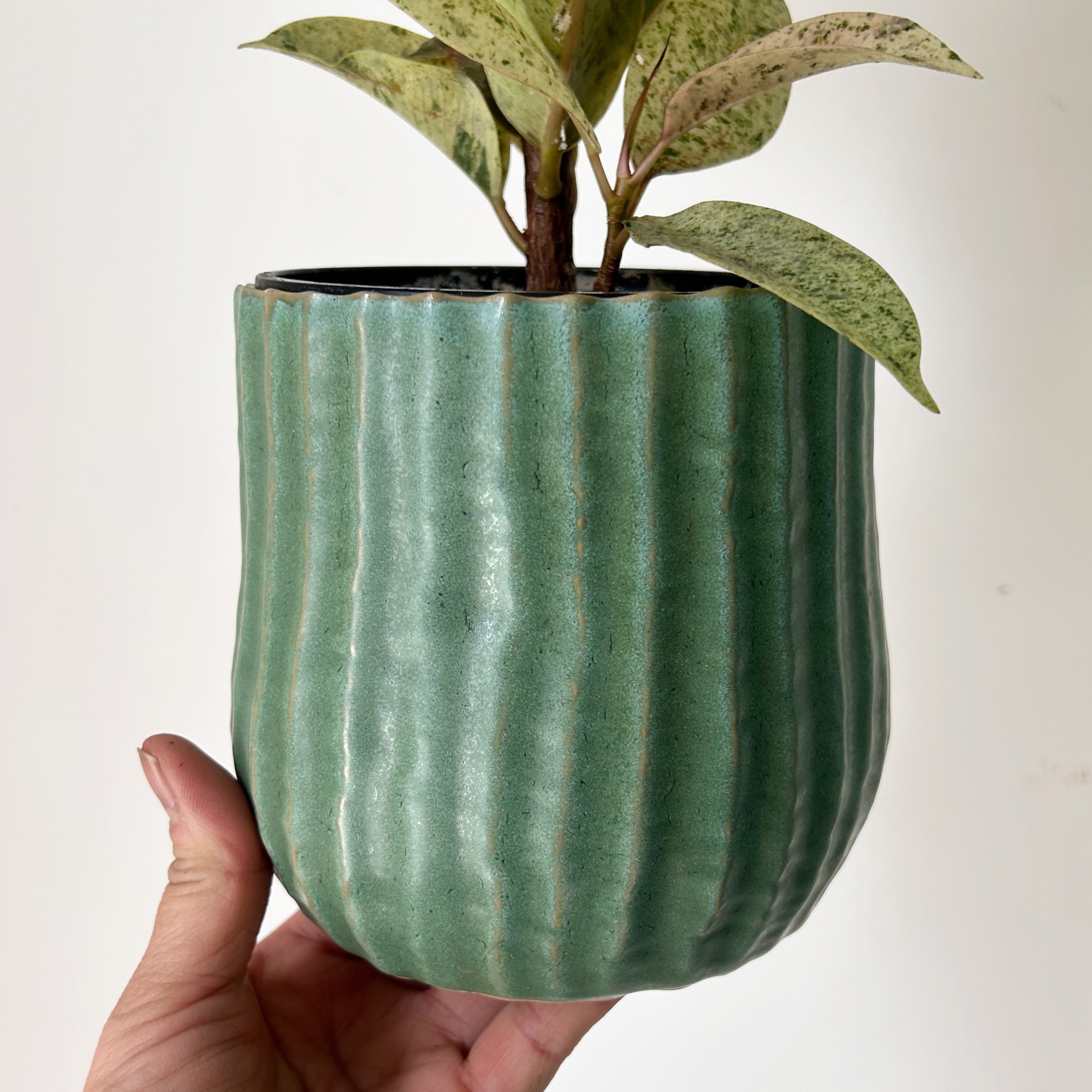 PALMERO Decorative Pot (5”x4.75”)