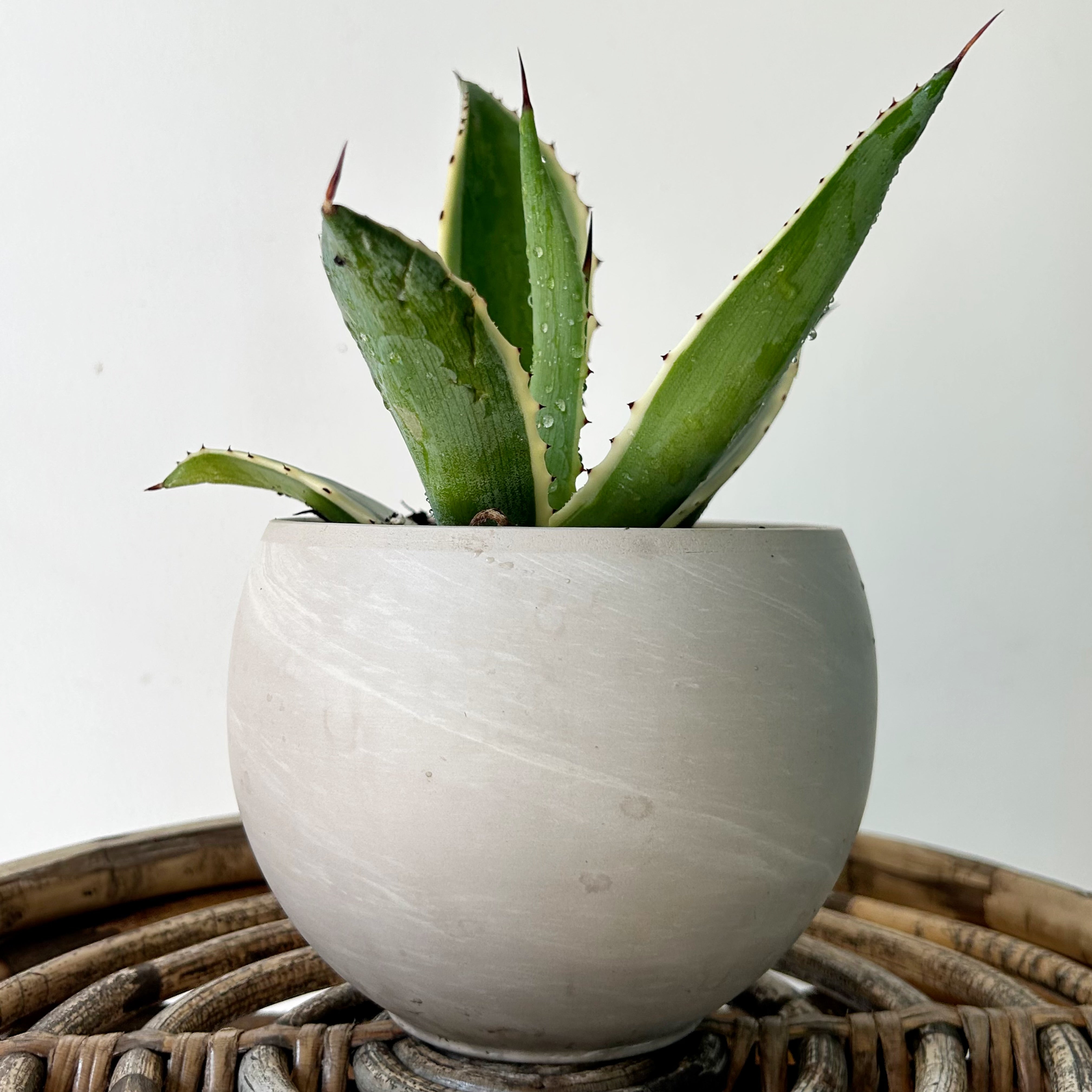 SHILOH Decorative Sphere Clay Pot