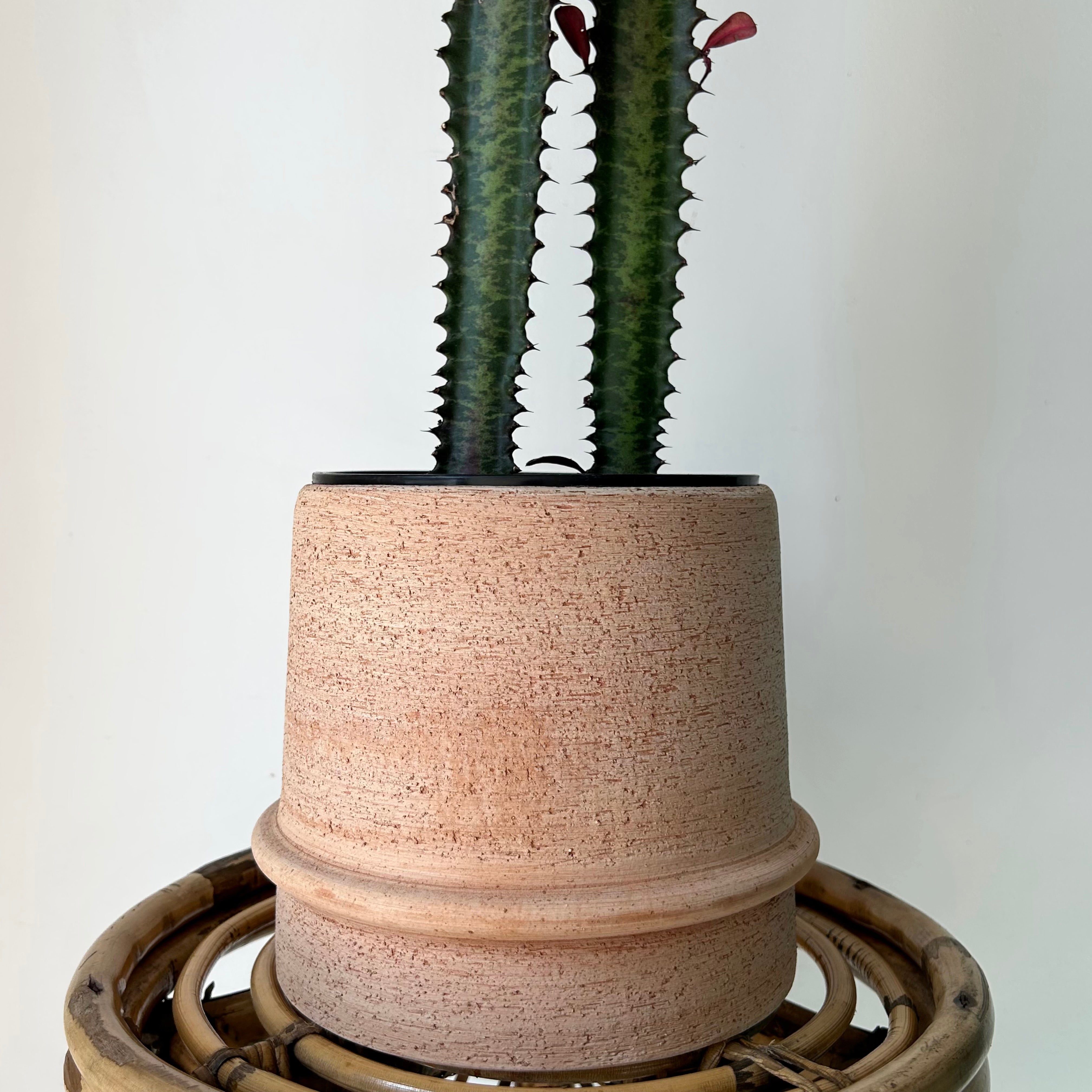 Terra Cotta Planter (6”x6.5”)