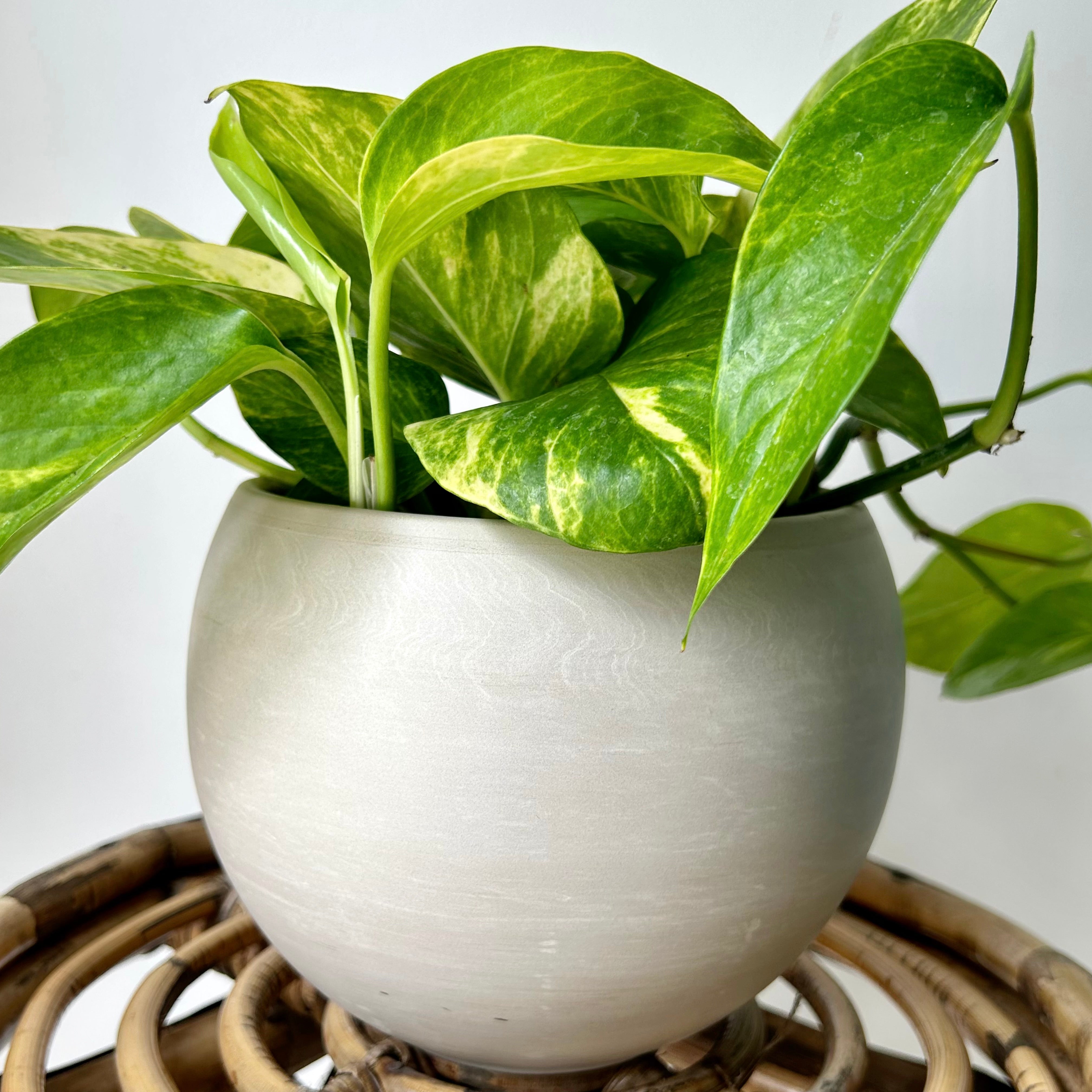 SHILOH Decorative Sphere Clay Pot