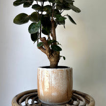LUCA Decorative Ceramic Pot (5”x5”)CARAMEL