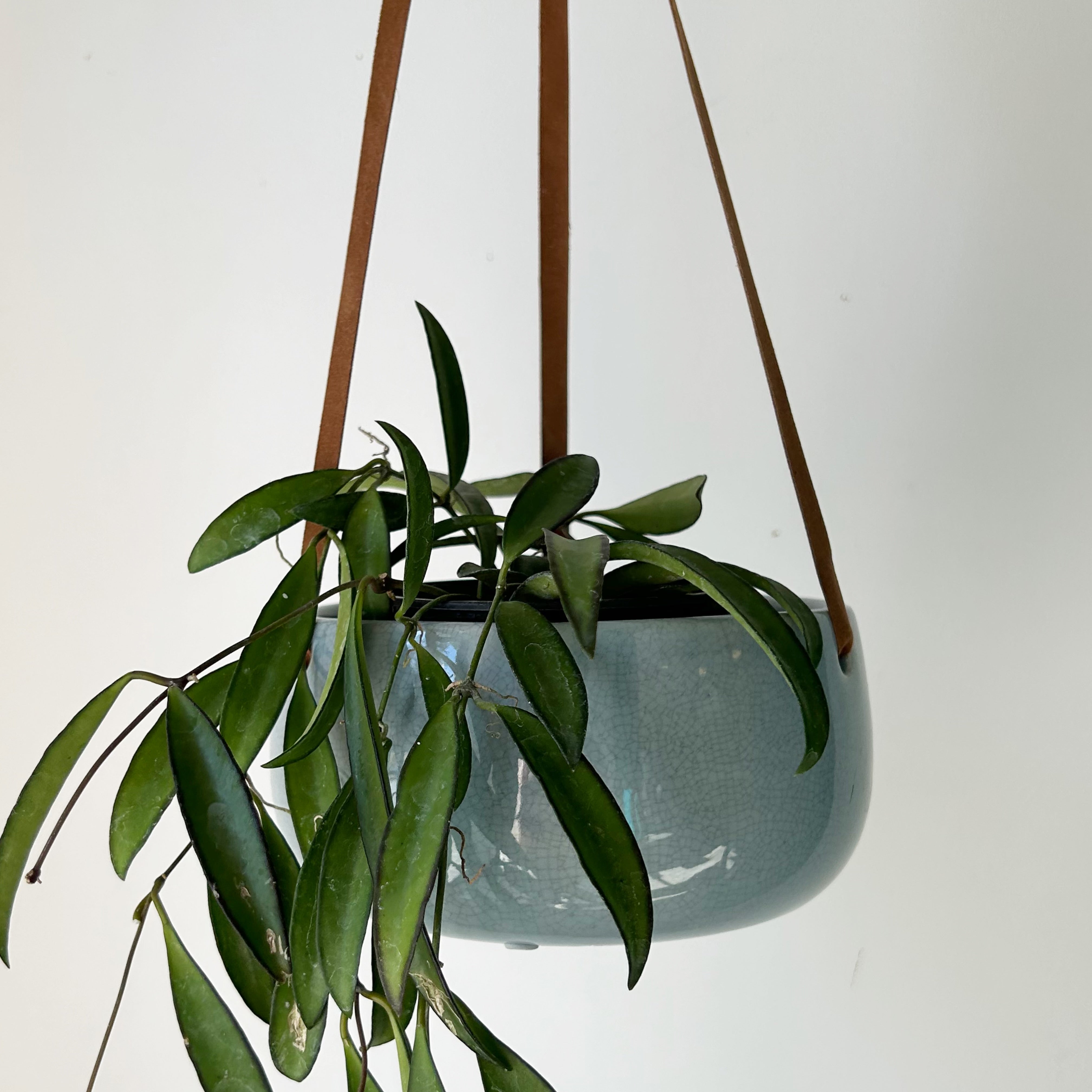 ASTRID hanging planter (6”X3”) POWDER BLUE
