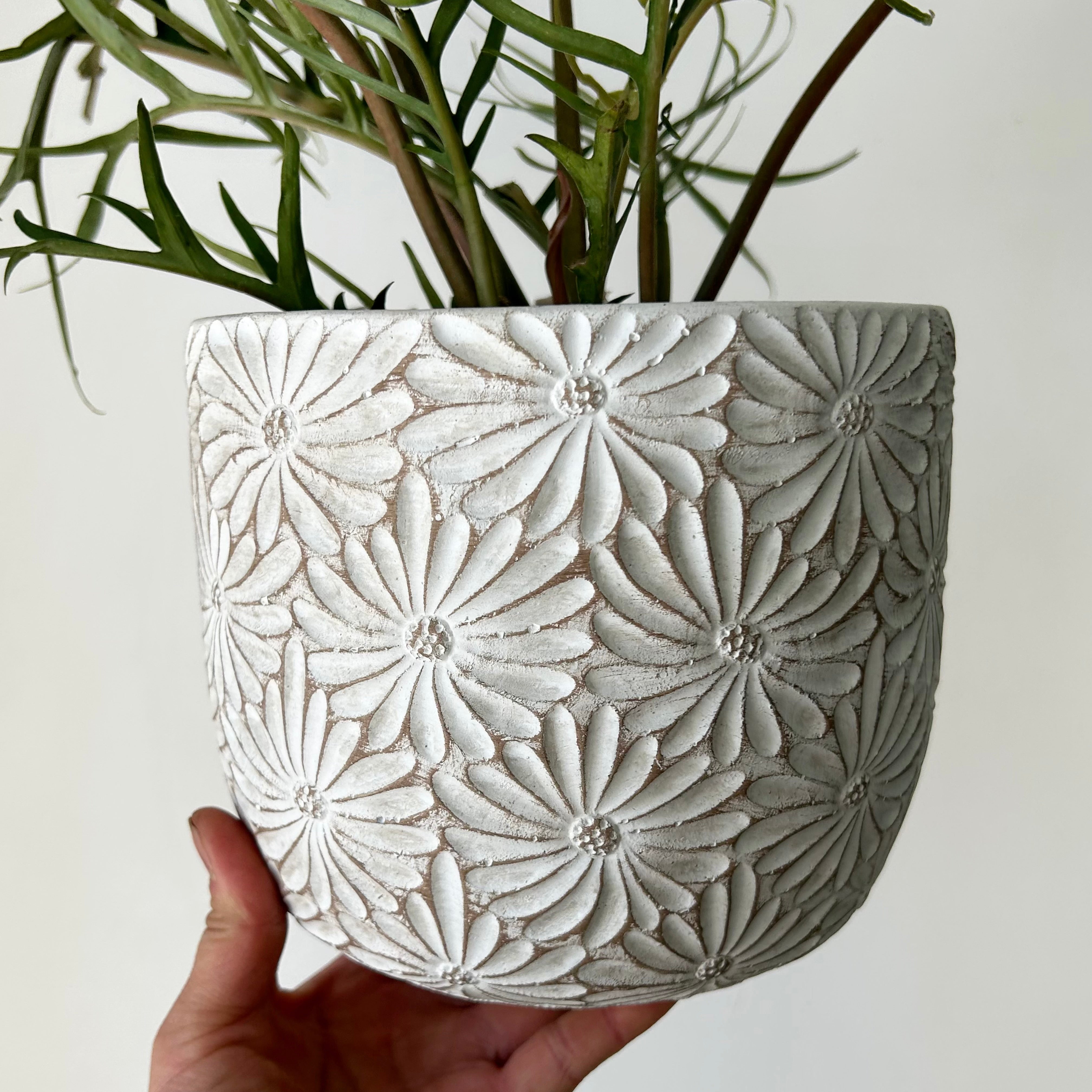 DAISY decorative cement pot