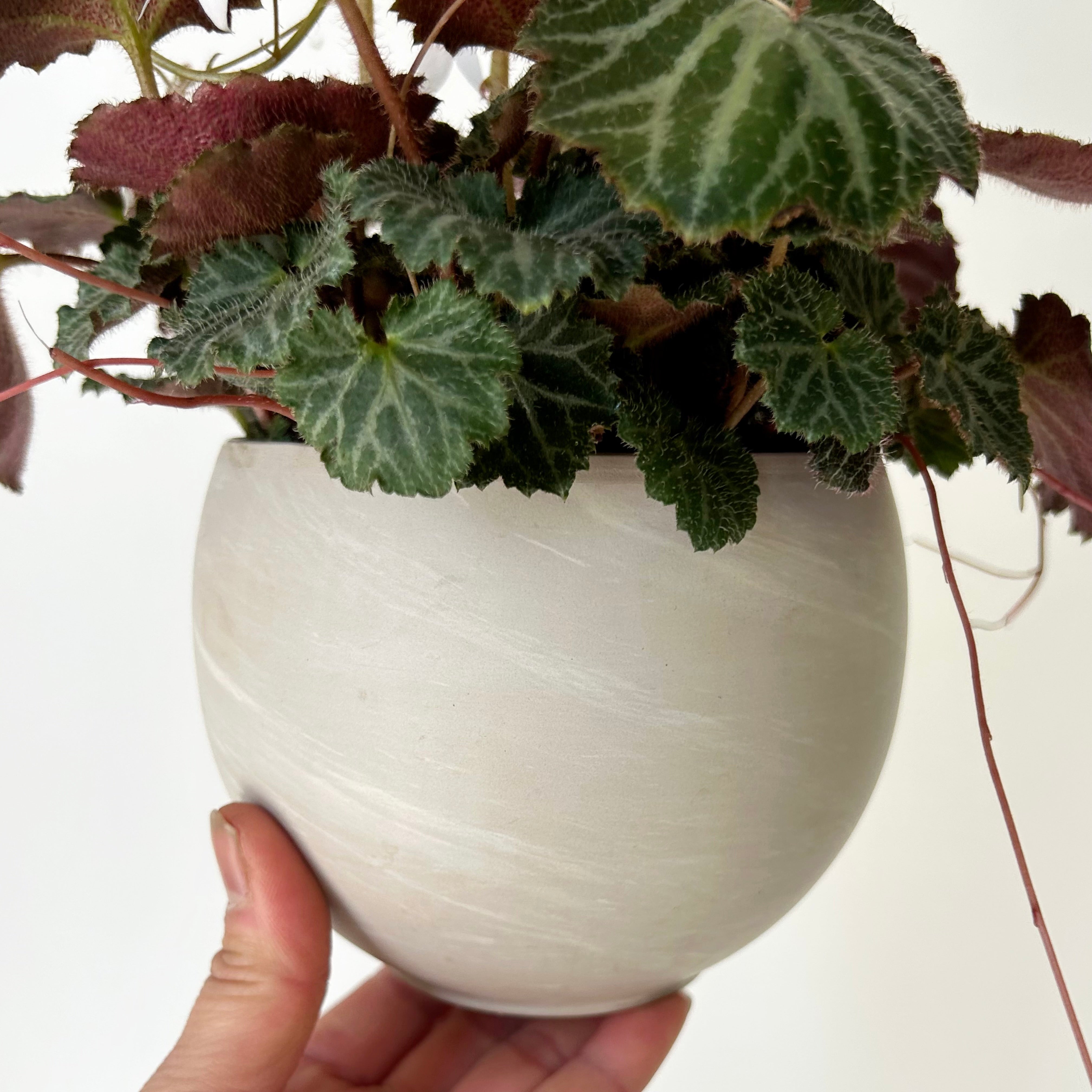 SHILOH Decorative Sphere Clay Pot