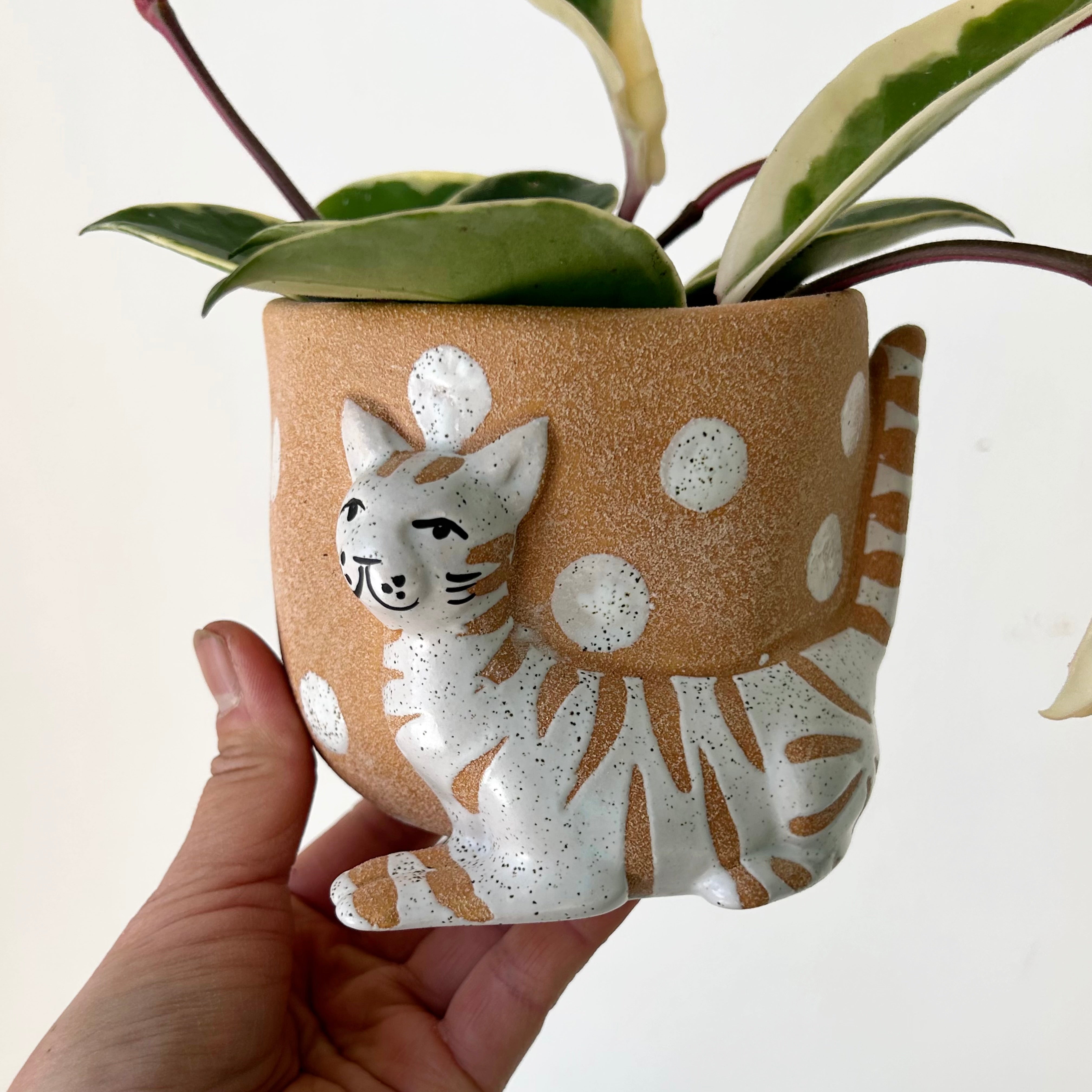Pampered CAT Decorative Planter (4”x3.75”)