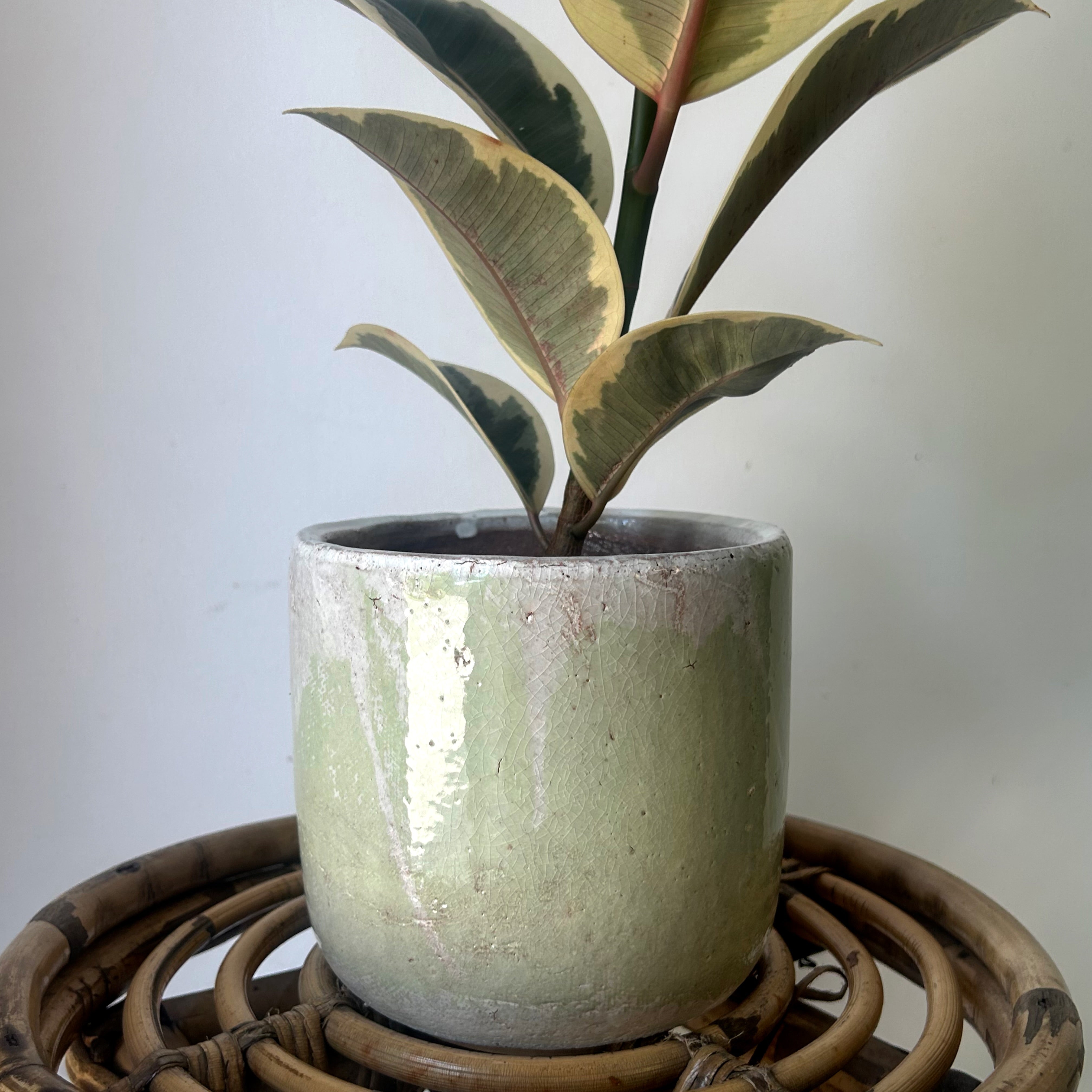 LUCA Decorative Ceramic Pot (5”x5) GREEN