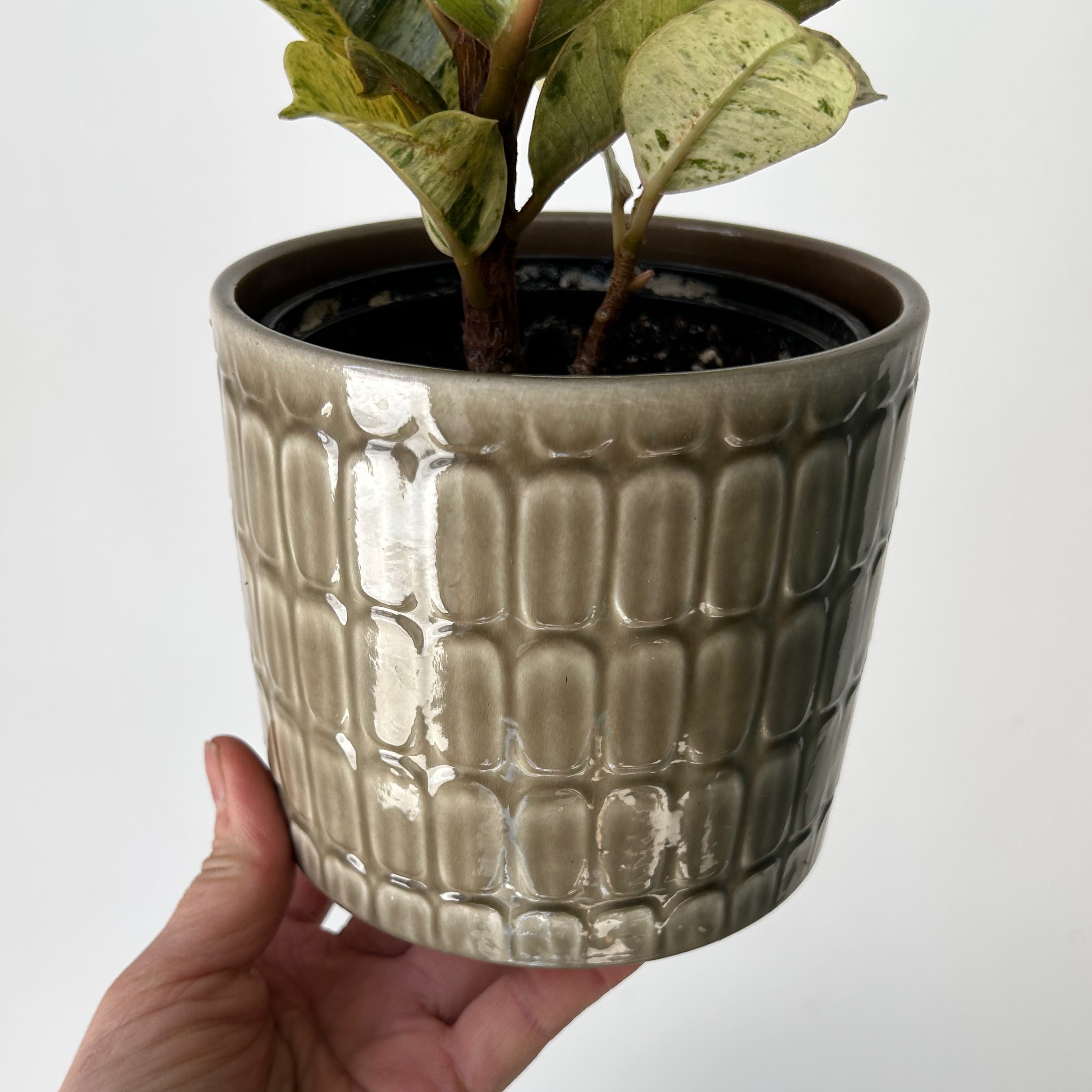SCHEURICH Decorative Pot TAUPE (4.5”x4)