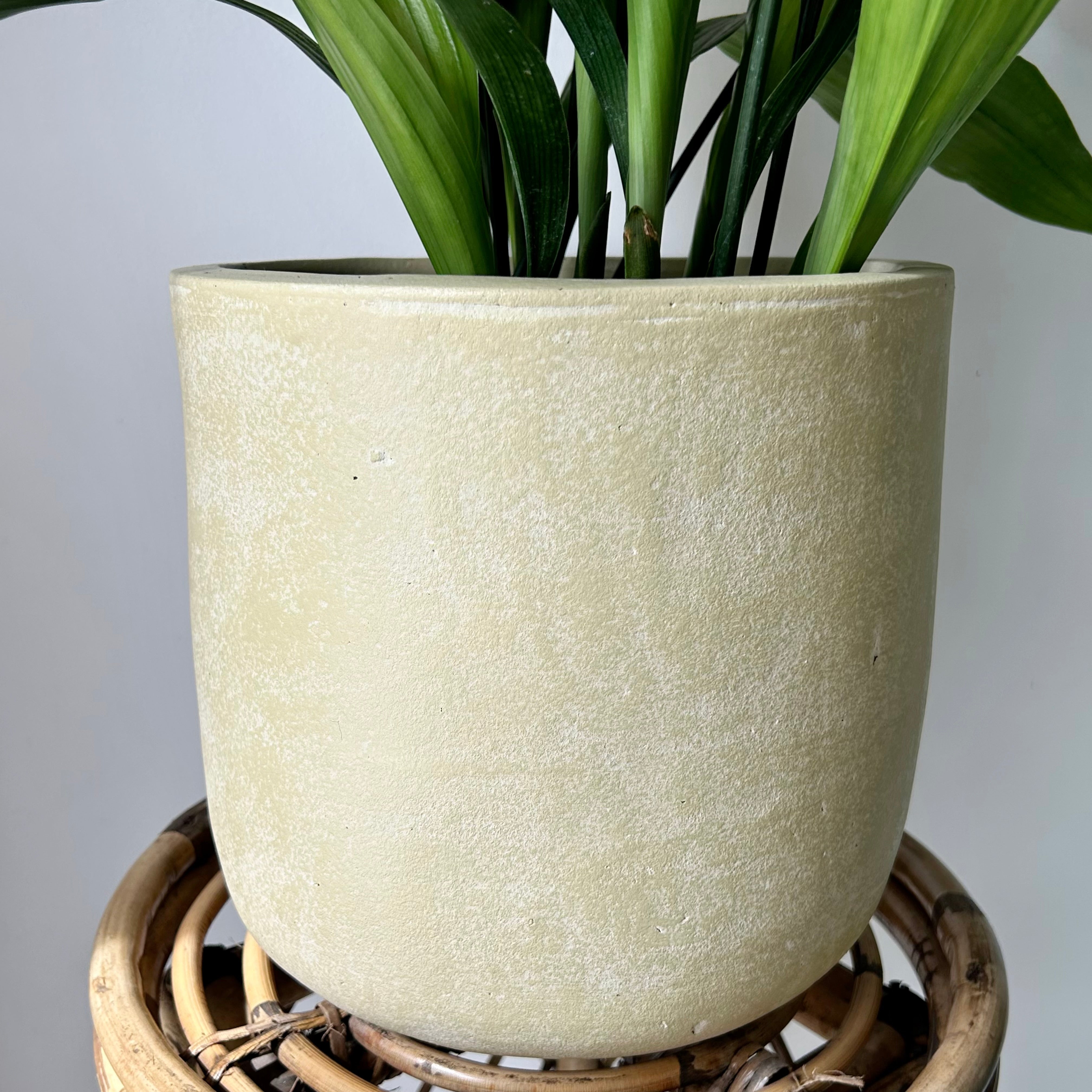SIMCOE Cylindrical Planter BUTTERCREAM YELLOW