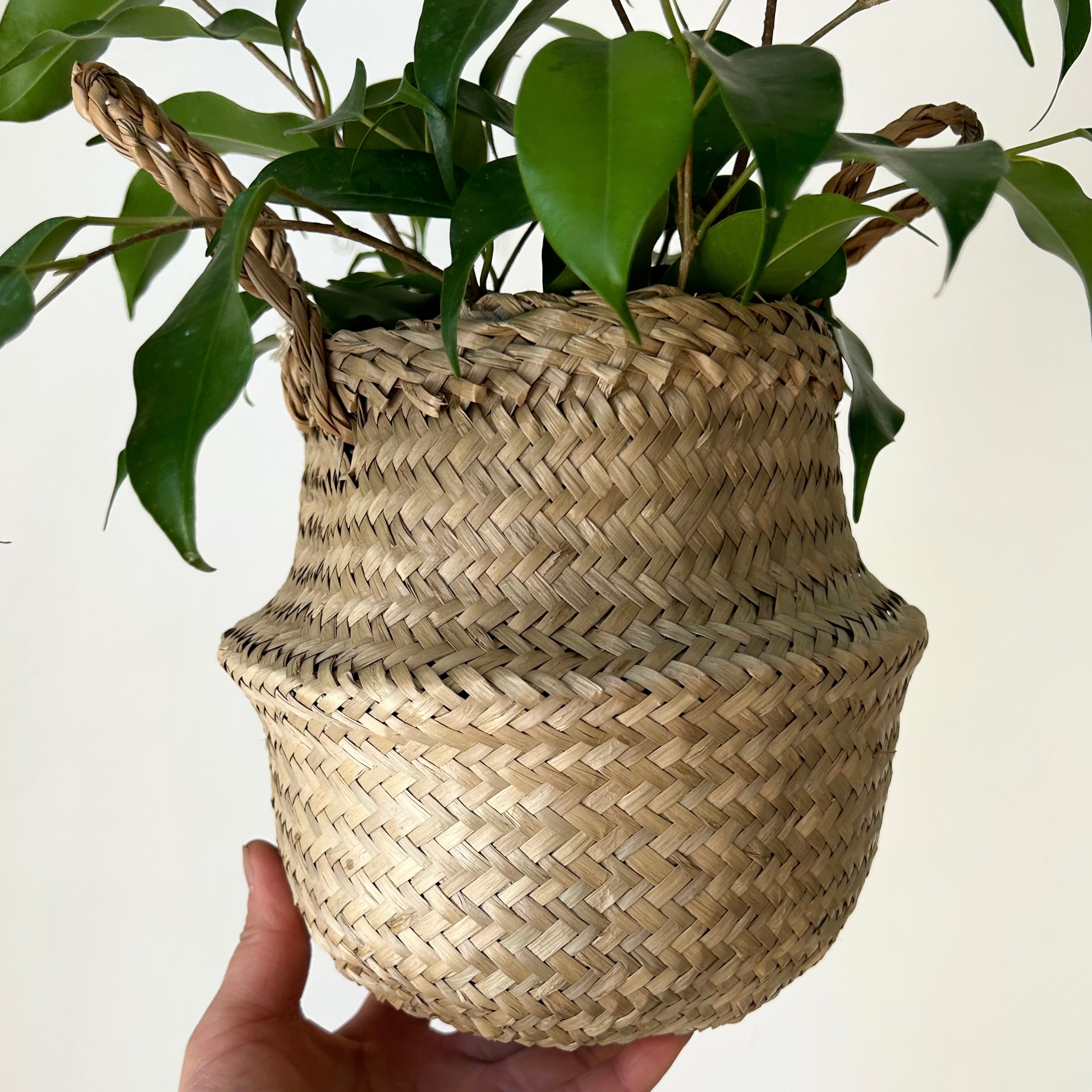 Seagrass Plant Tote (5.5”X7”)