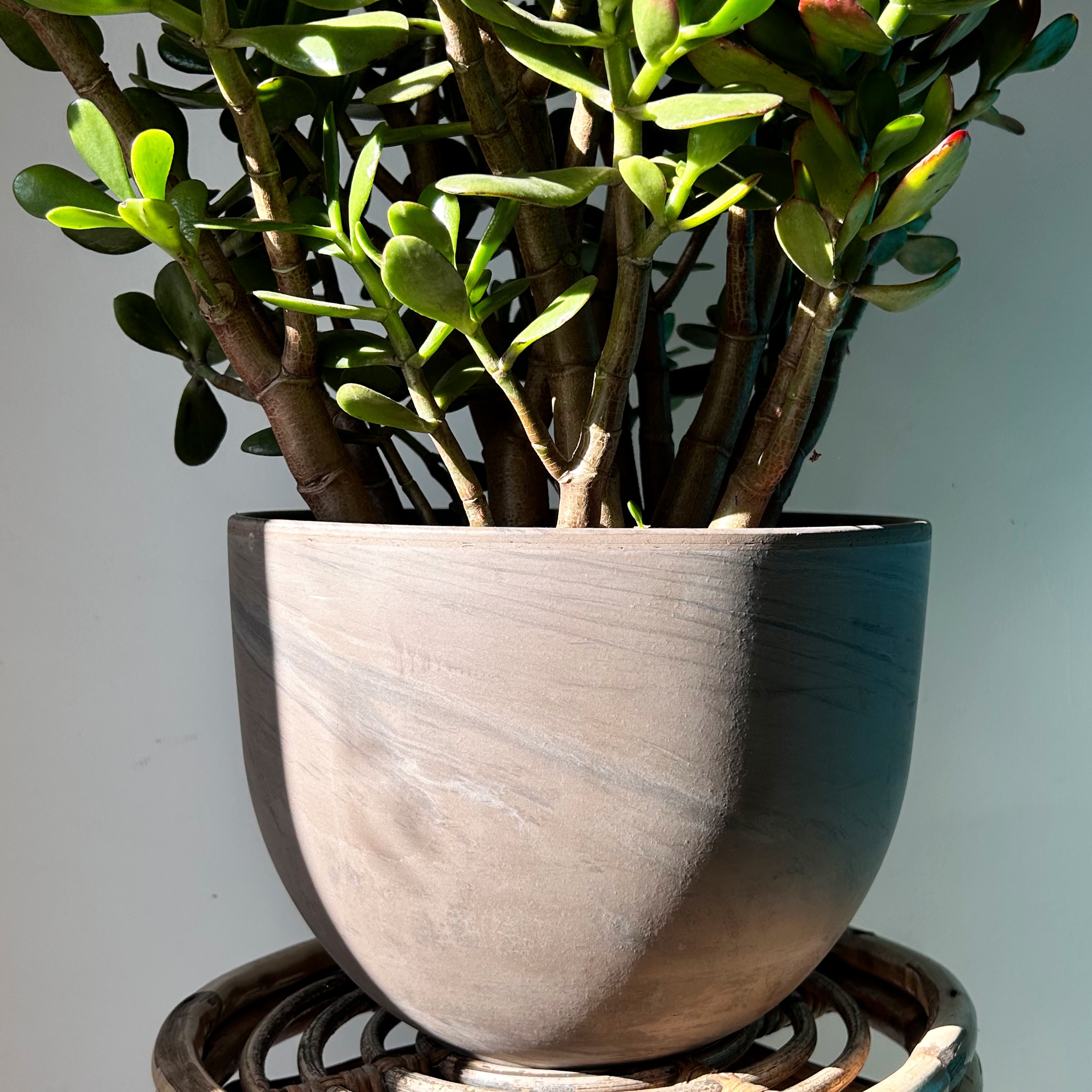 ELARA Clay Planter (9.75”x7.75”)