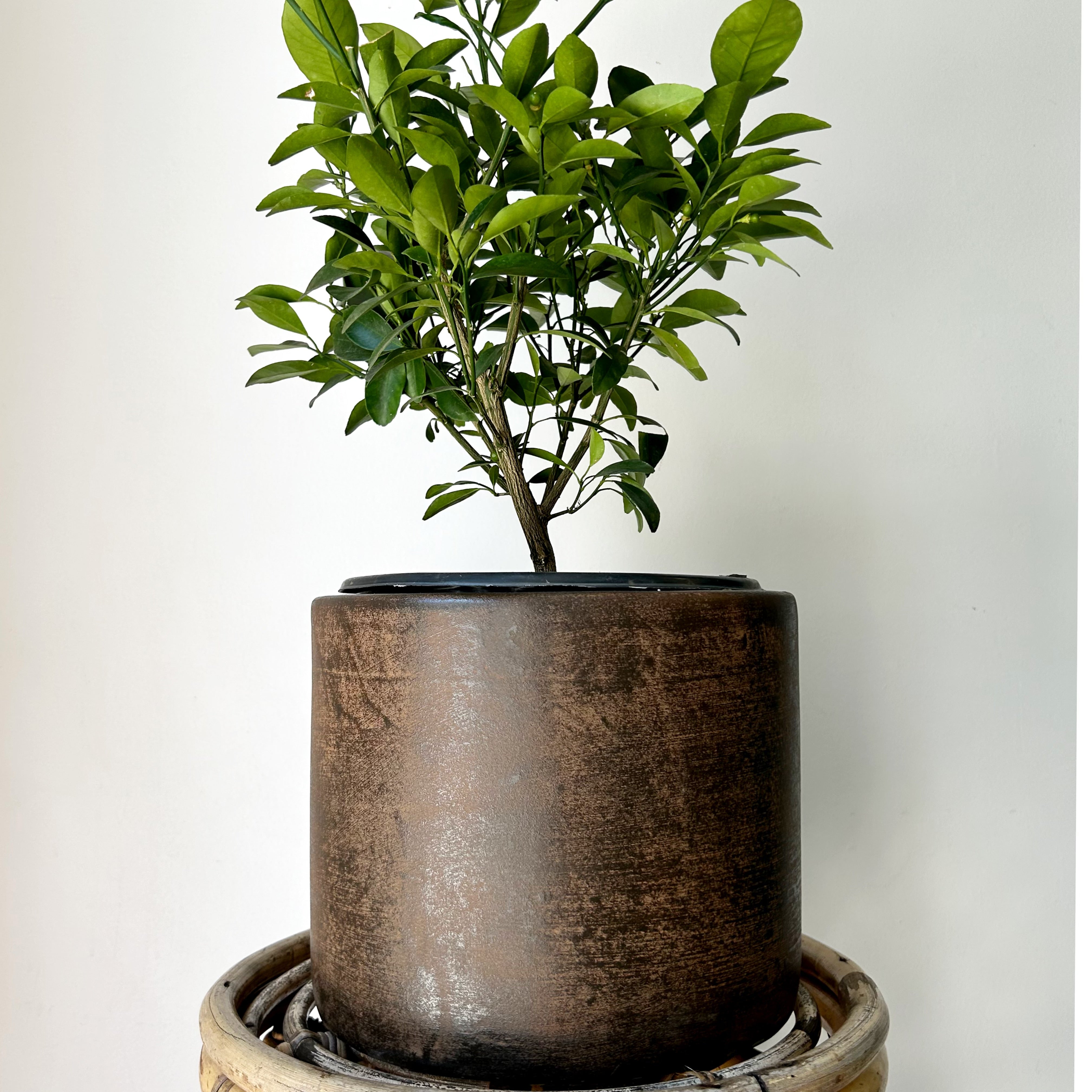 ARTURO Planter COPPER