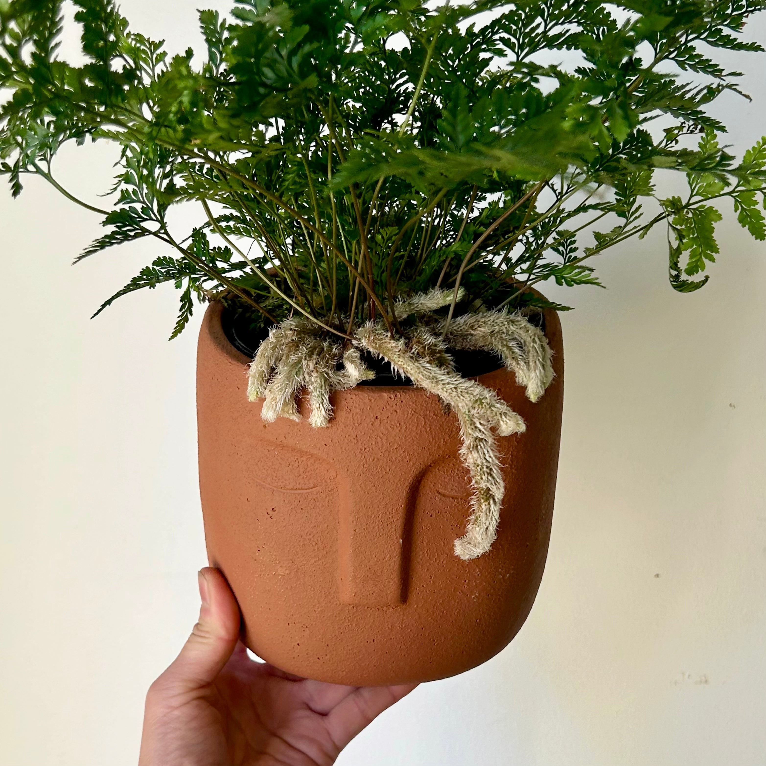 LEO Face Planter (5”X5.25") available in light grey & terra cotta orange