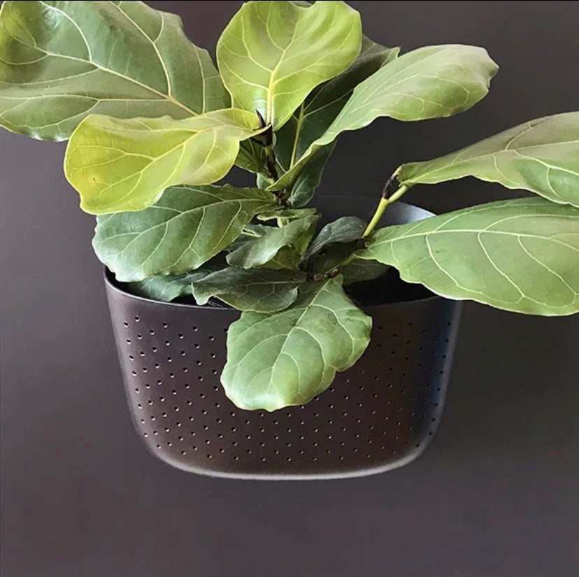 WallyGrow Eco Planter (multiple colours available)