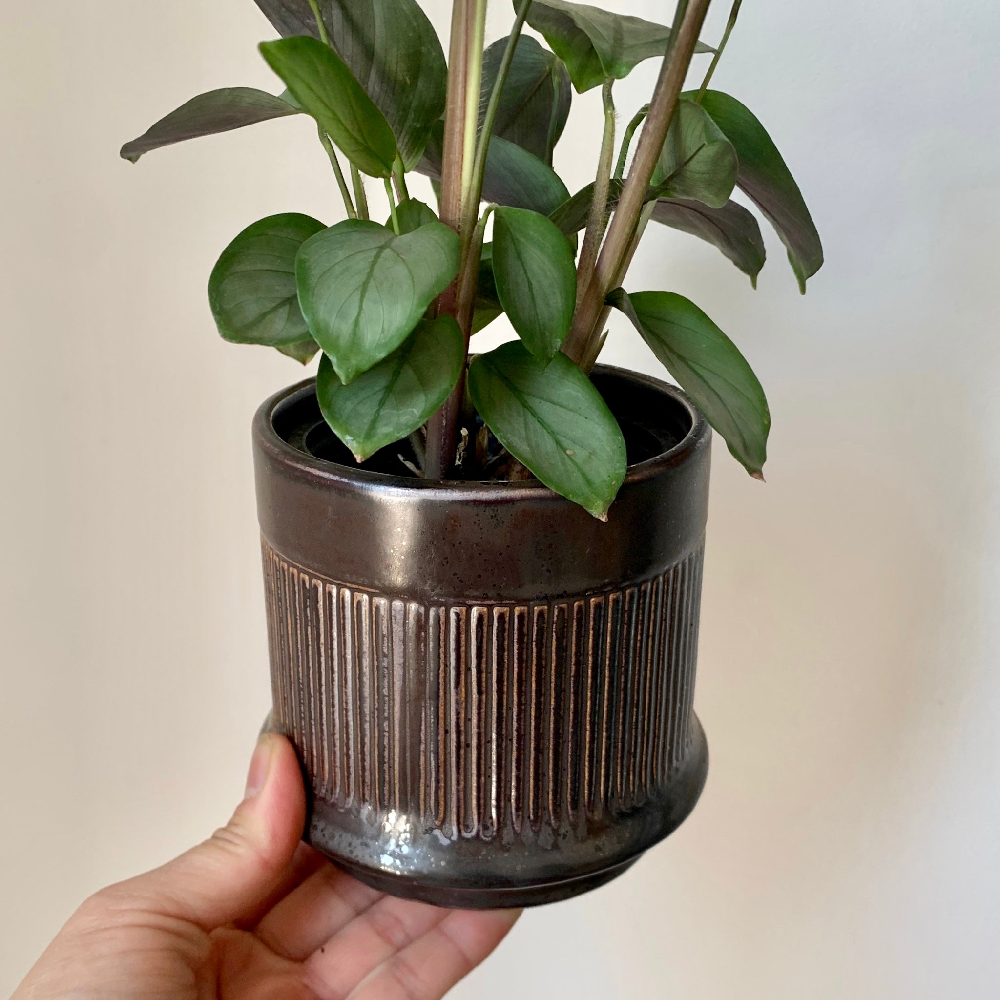 KATALINA Dark Copper Decorative Pot 4”X3.5”