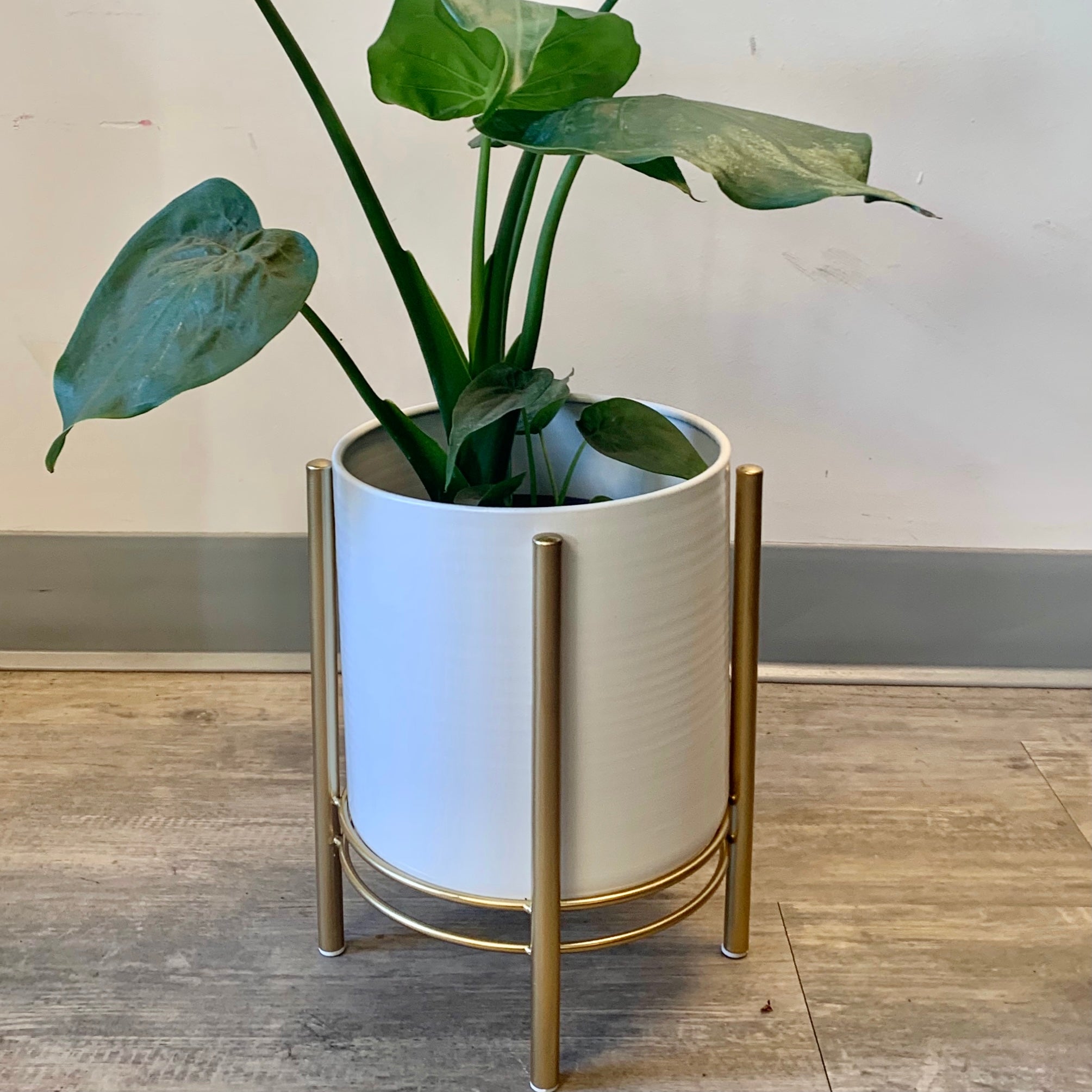 HOLLIS Modern Pot + Stand 6”X7.25” WHITE