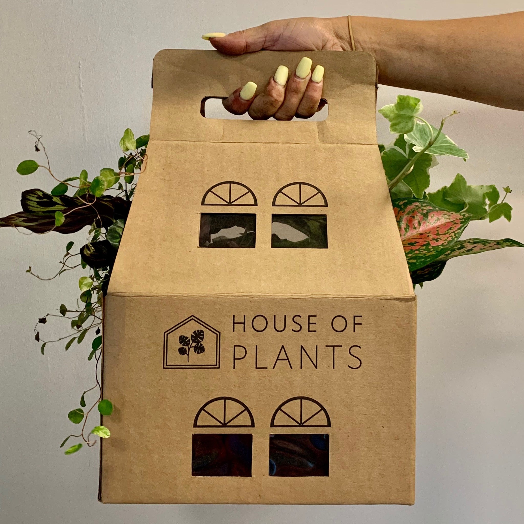 Botanical Box (4 Options) ONLINE PREORDER ONLY - not available in store.