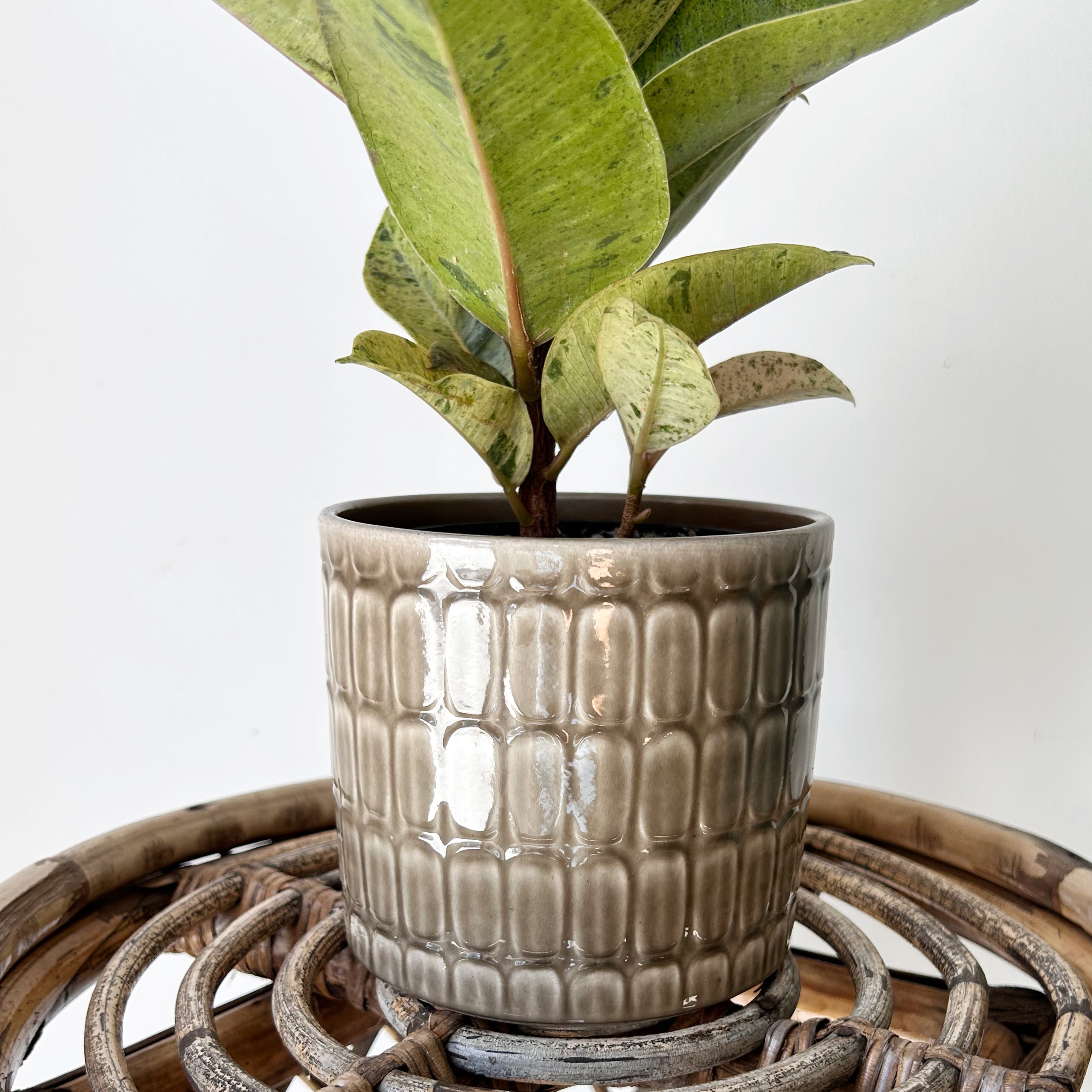 SCHEURICH Decorative Pot TAUPE (4.5”x4)