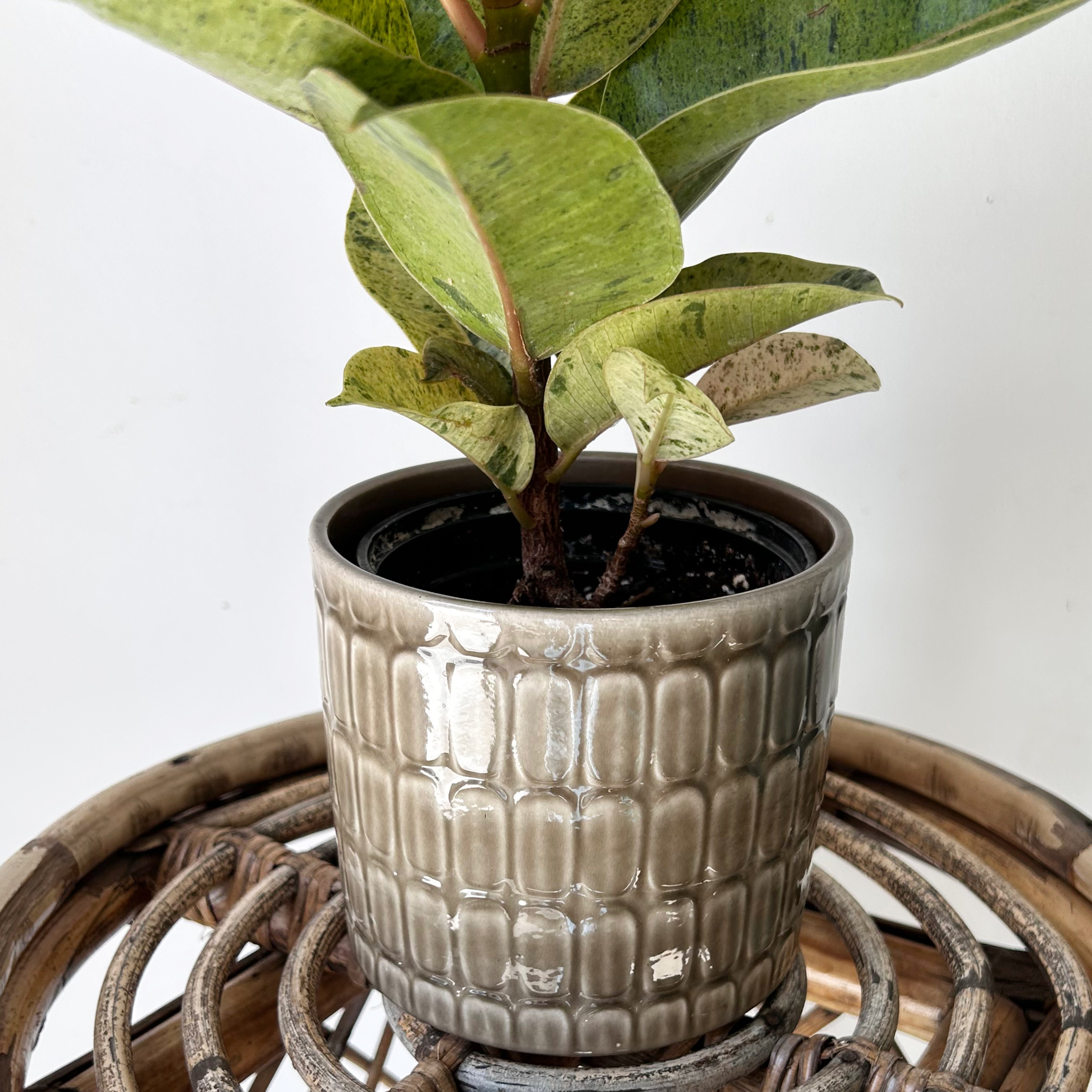 SCHEURICH Decorative Pot TAUPE (4.5”x4)