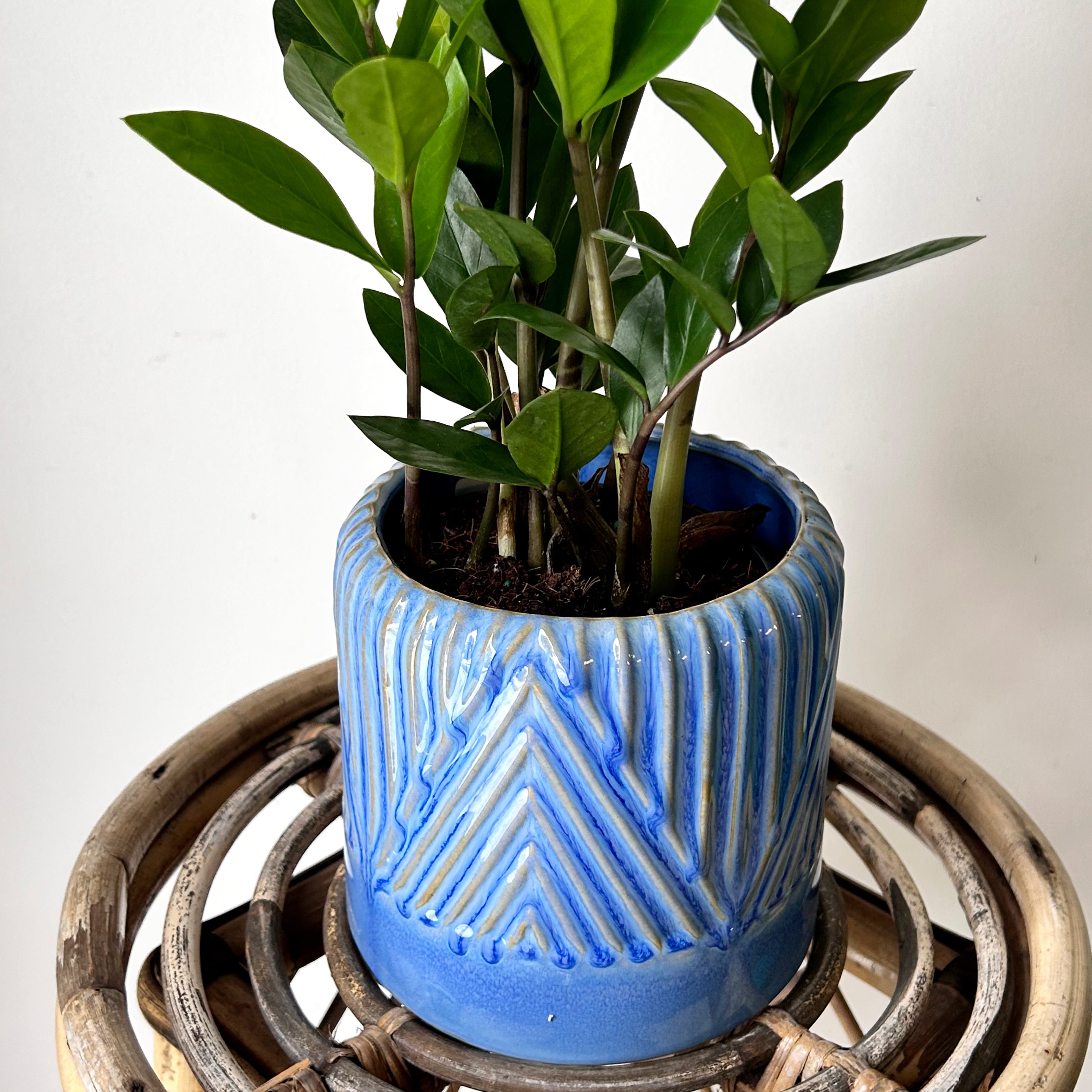 FELICITY BLUE Decorative Pot (5”x5.5”)