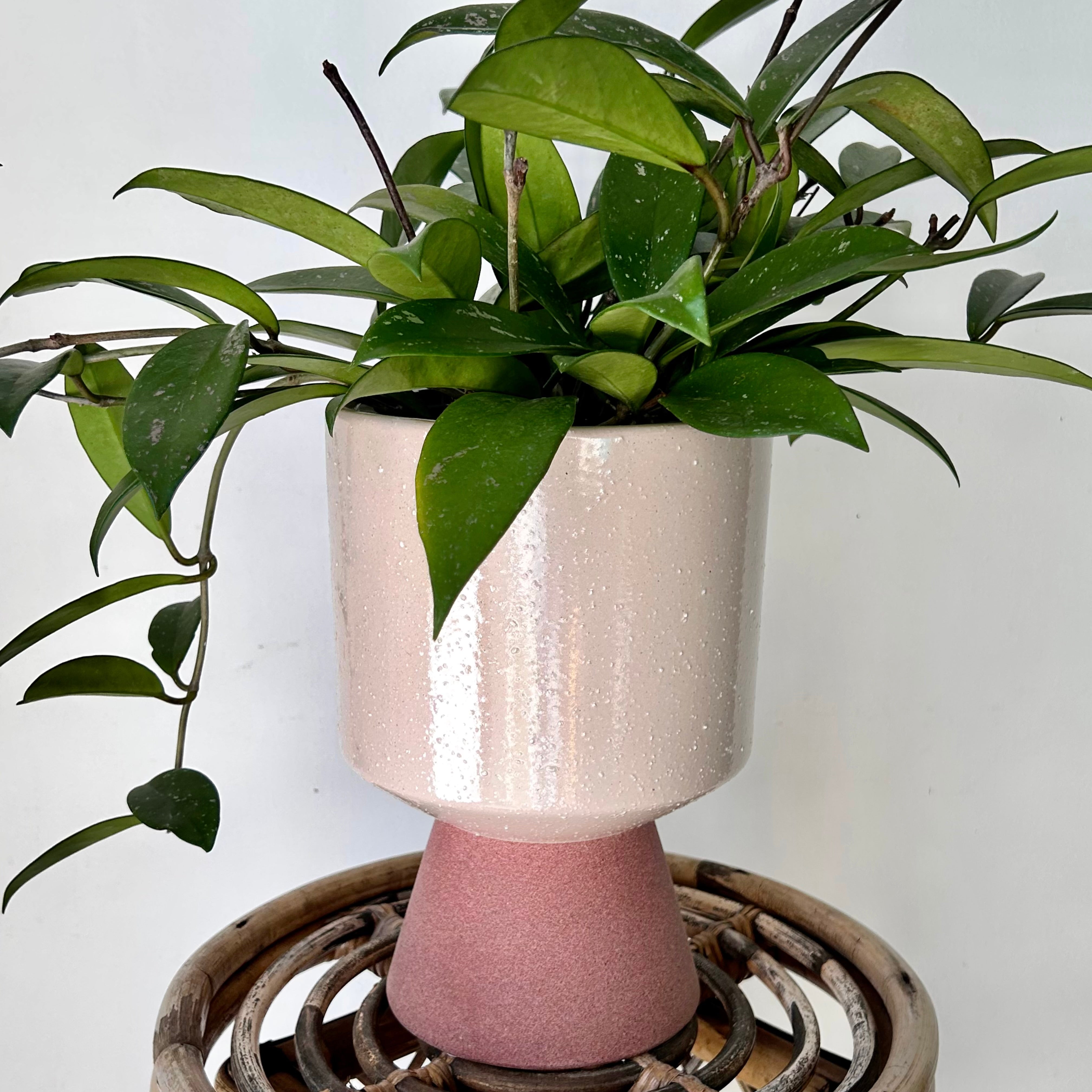 PIPER Colour Block Pot with tapered base (6"X5.5")