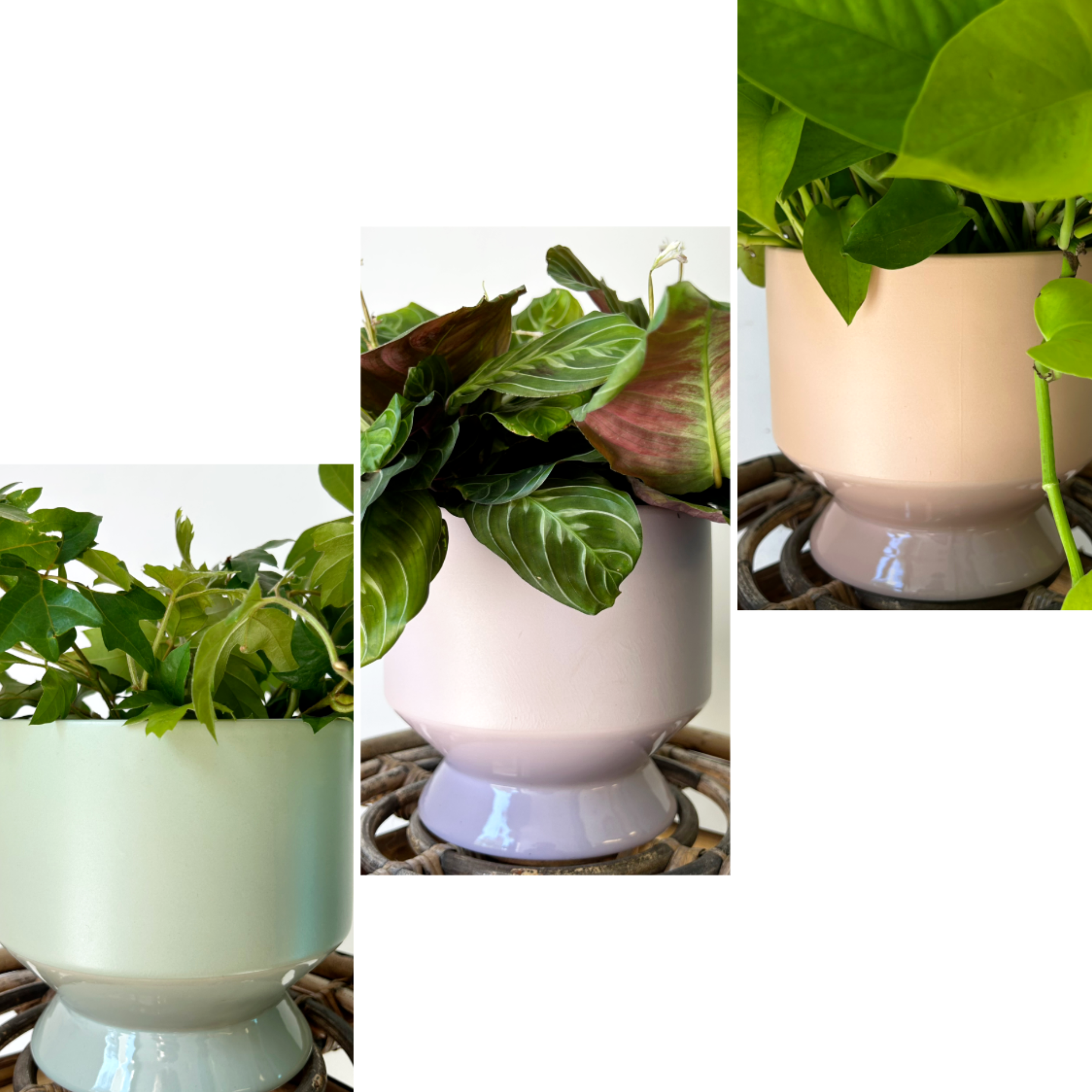 PASADENA PASTEL Decorative Pot (6”x6”) available in 3 colours
