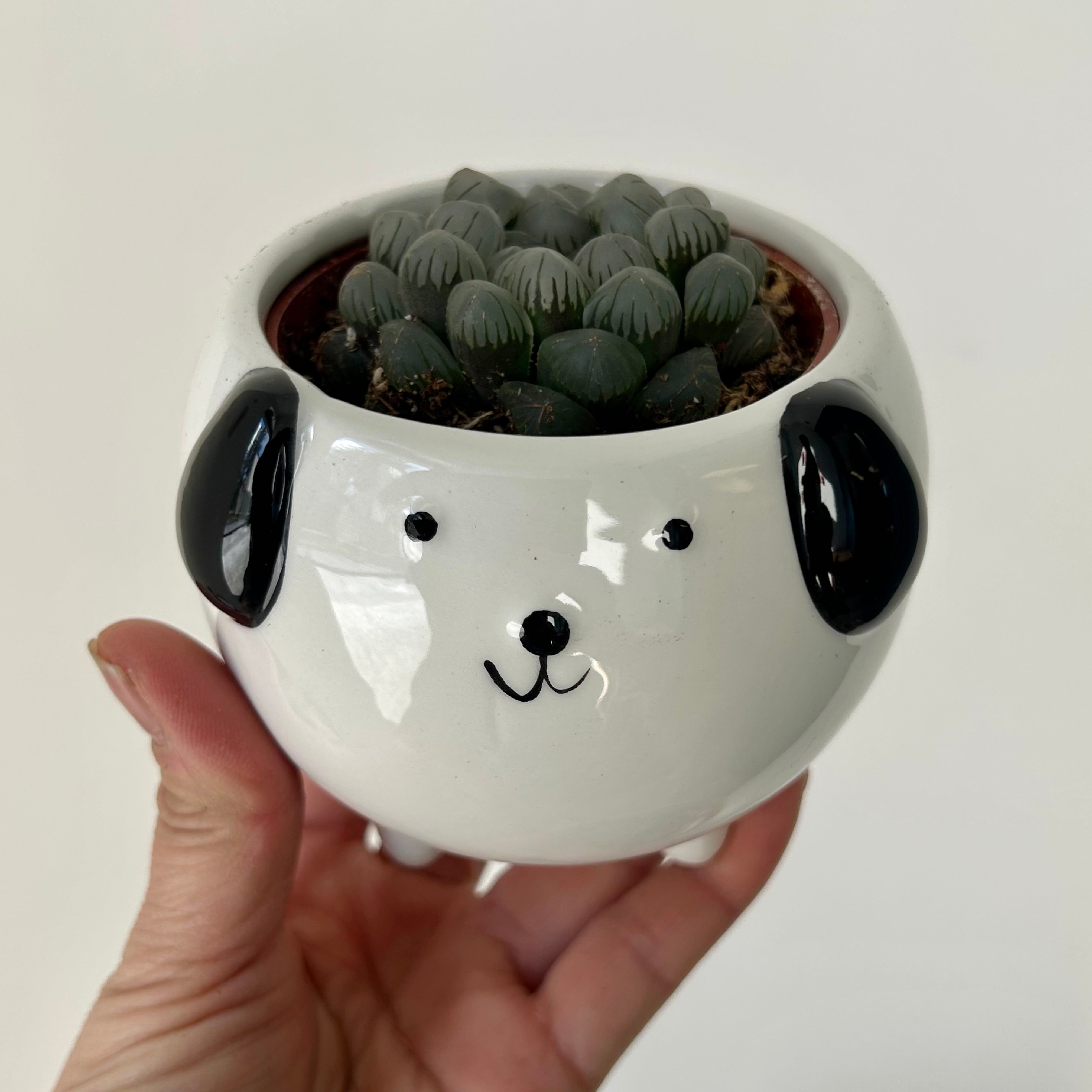Black & White Dog  Decorative Pot (3”x3”)