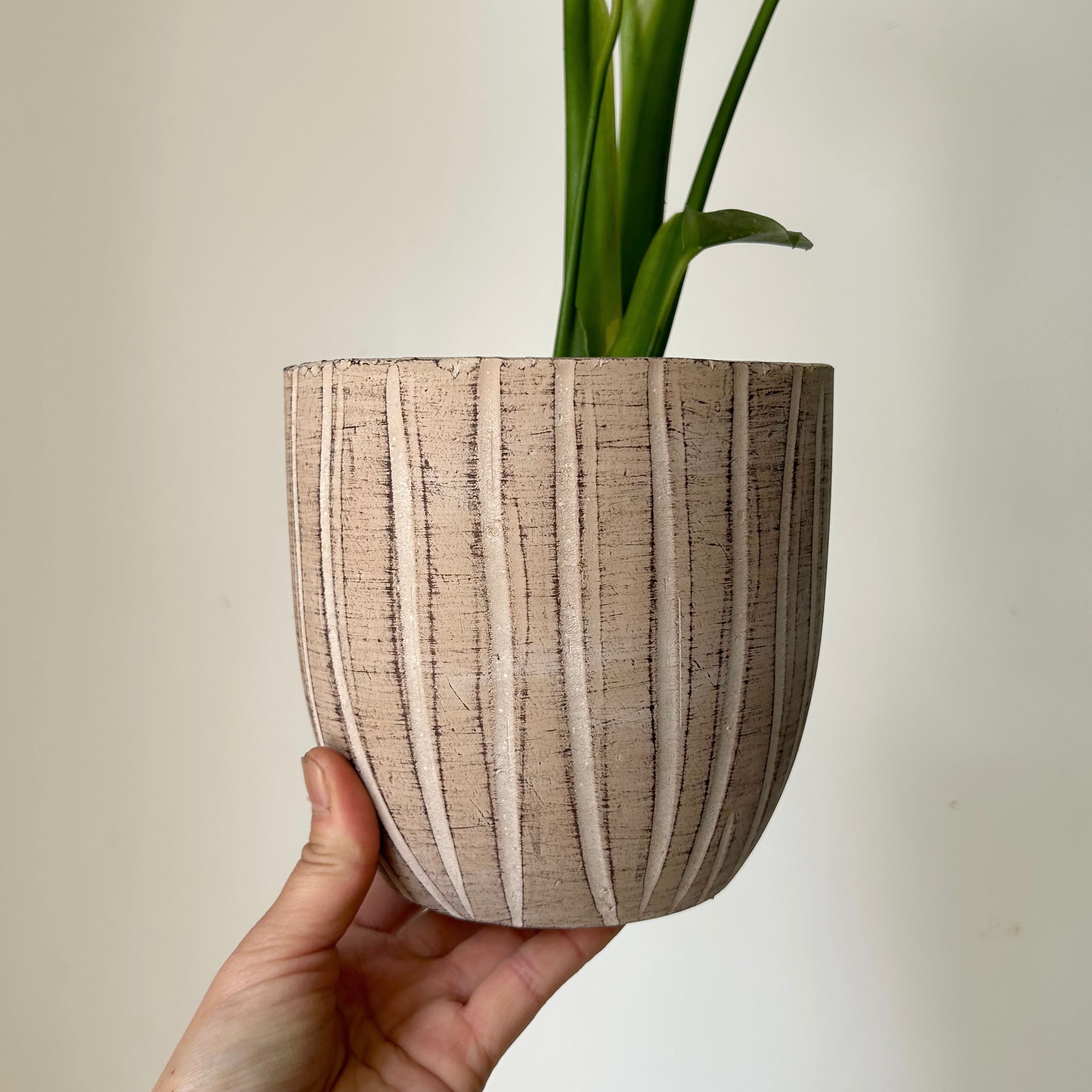 COCO Decorative Pot Vertical Stripe (5.5”X5.25”)