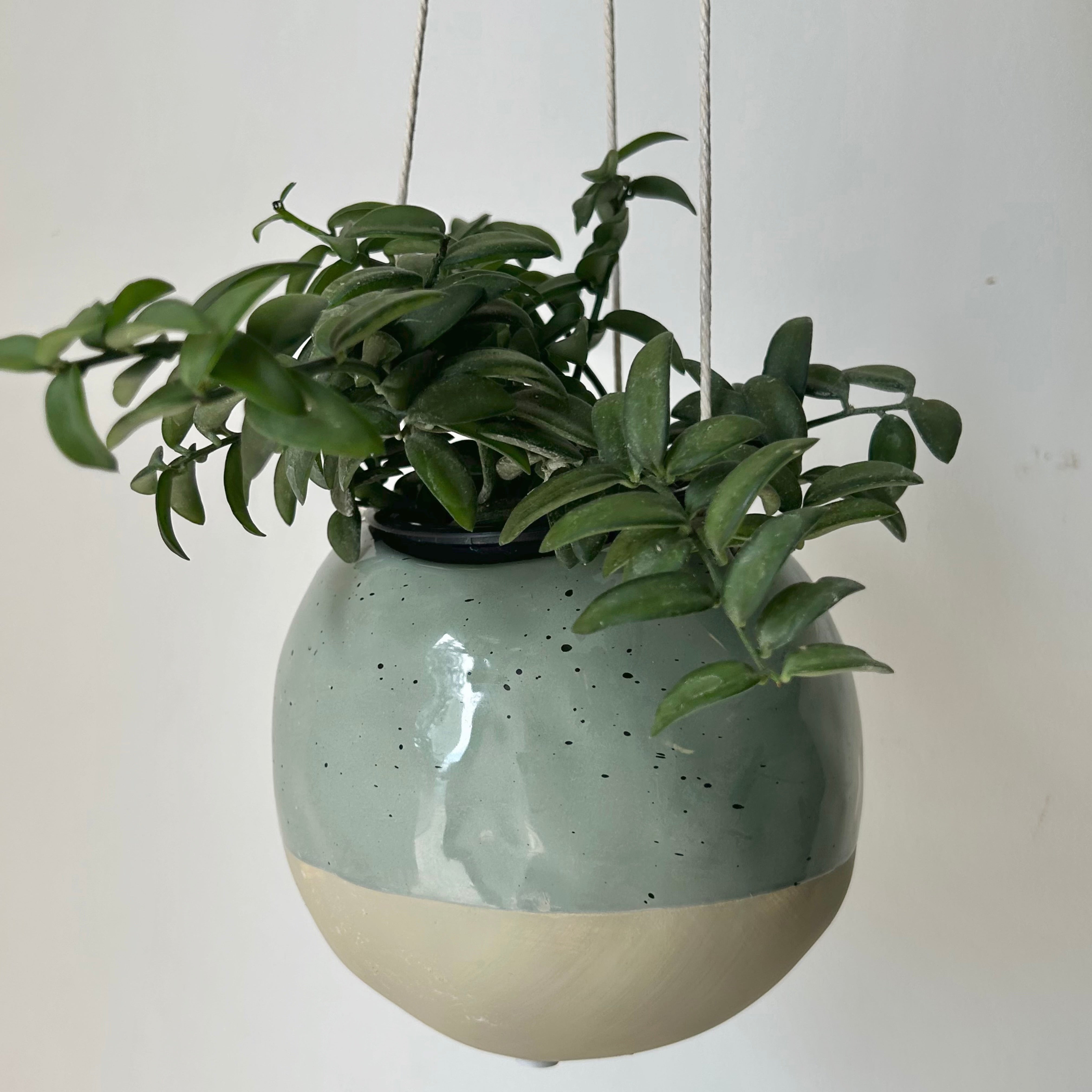 GEO spherical hanging planter (3.5”x5”)