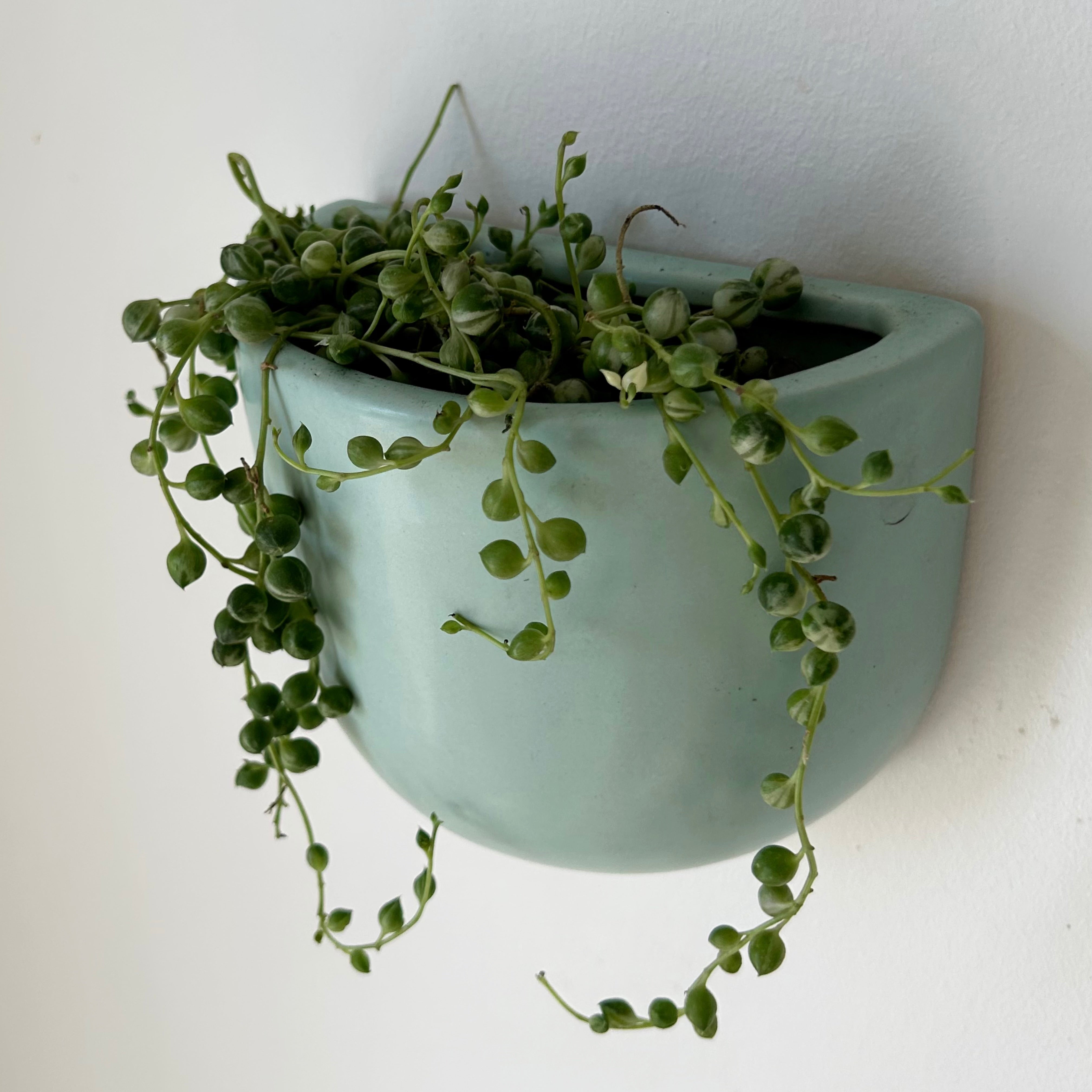 Modern Ceramic Wall Pocket TEAL