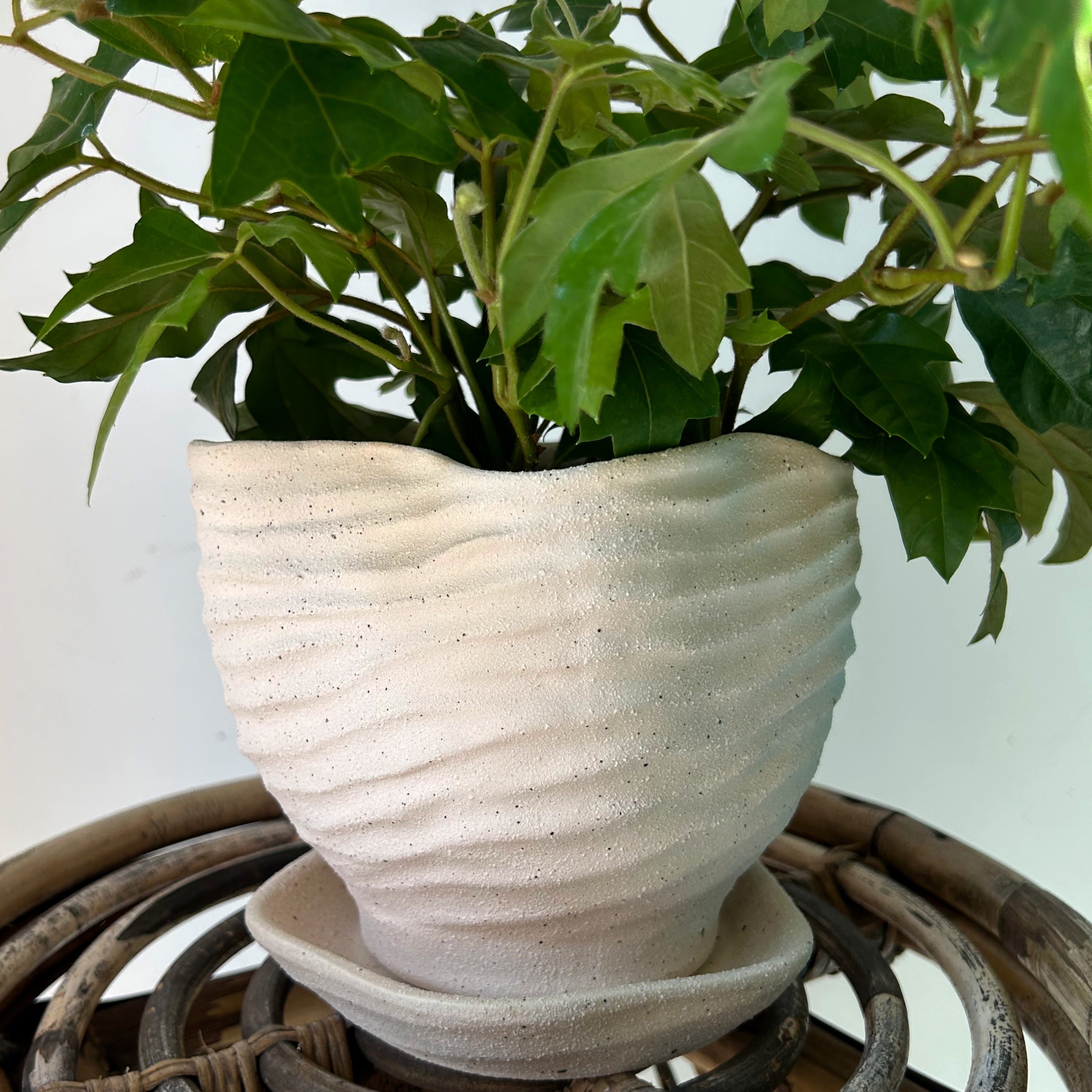 HIGHLAND Textured Planter with Saucer