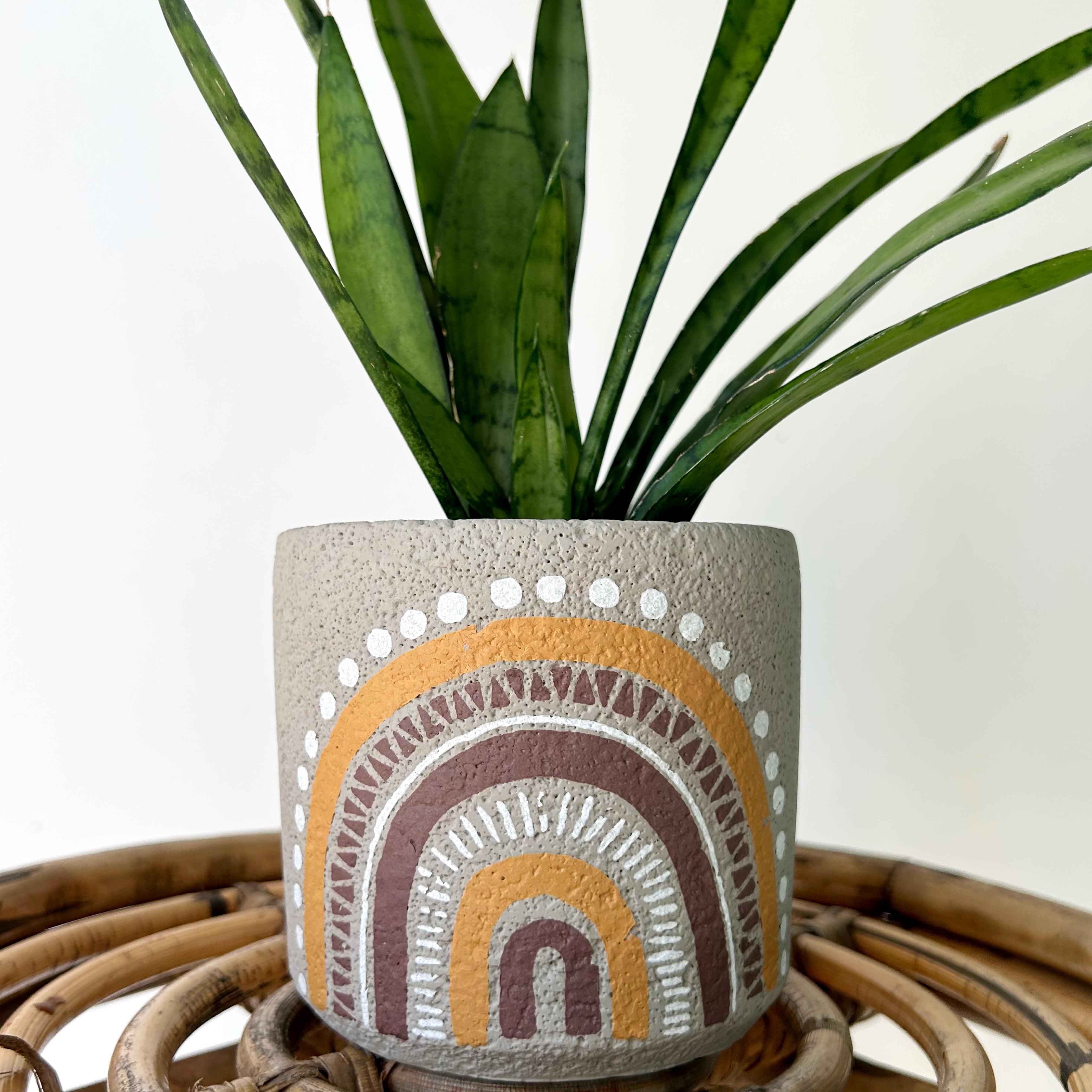 DIEGO Cement Decorative Pot (4”x4”)