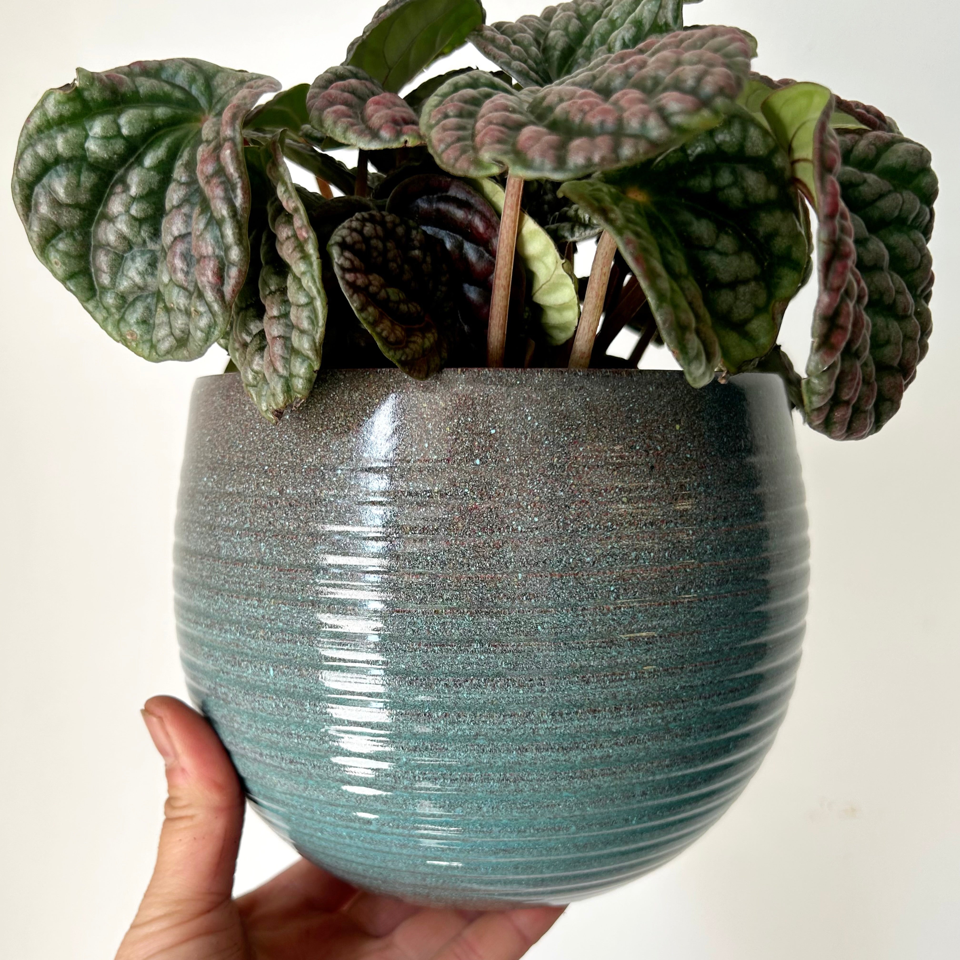 Blue Ombré decorative pot (5.5”x5.75”)