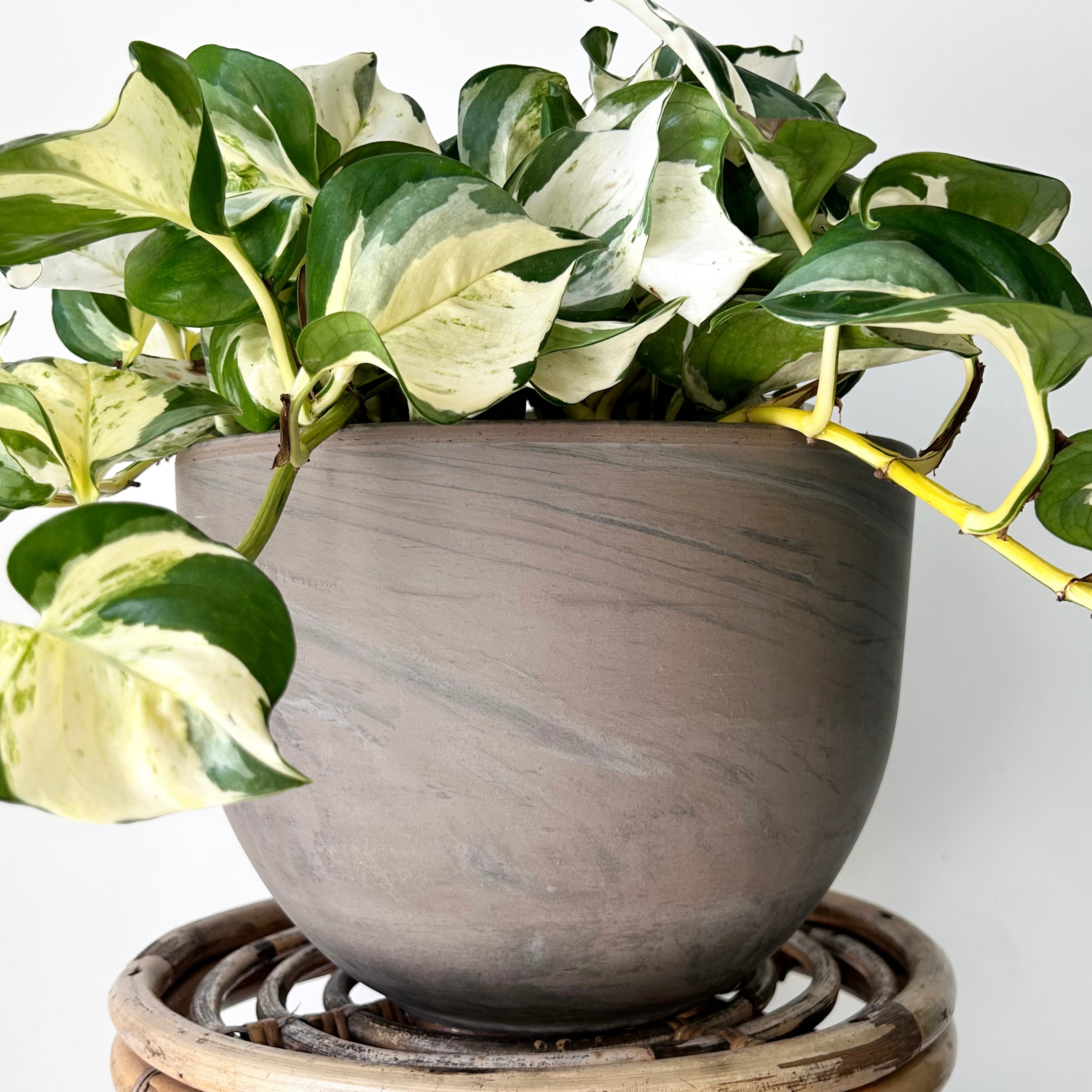 ELARA Clay Planter (9.75”x7.75”)
