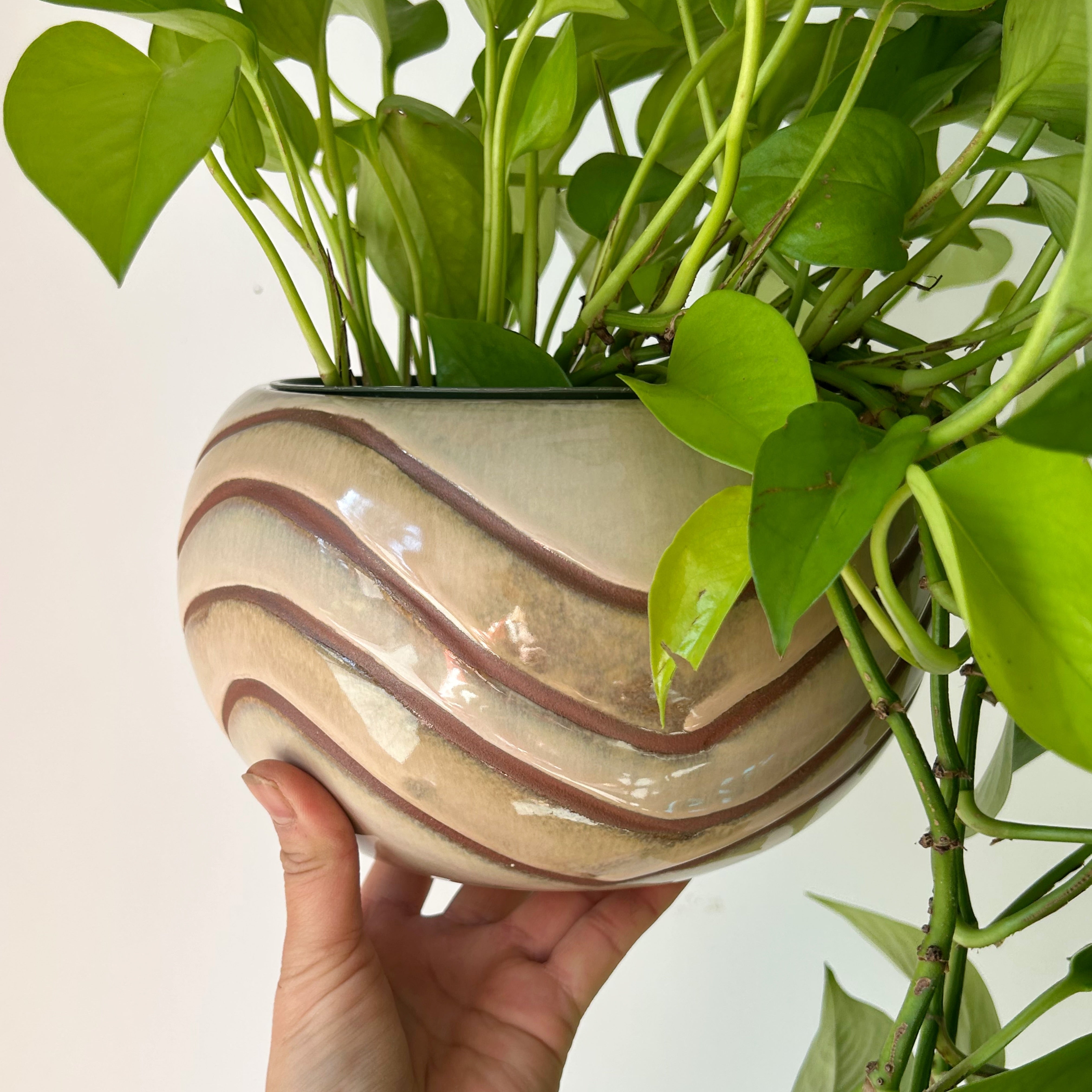 MILANO Shallow Decorative Pot (6"X5")