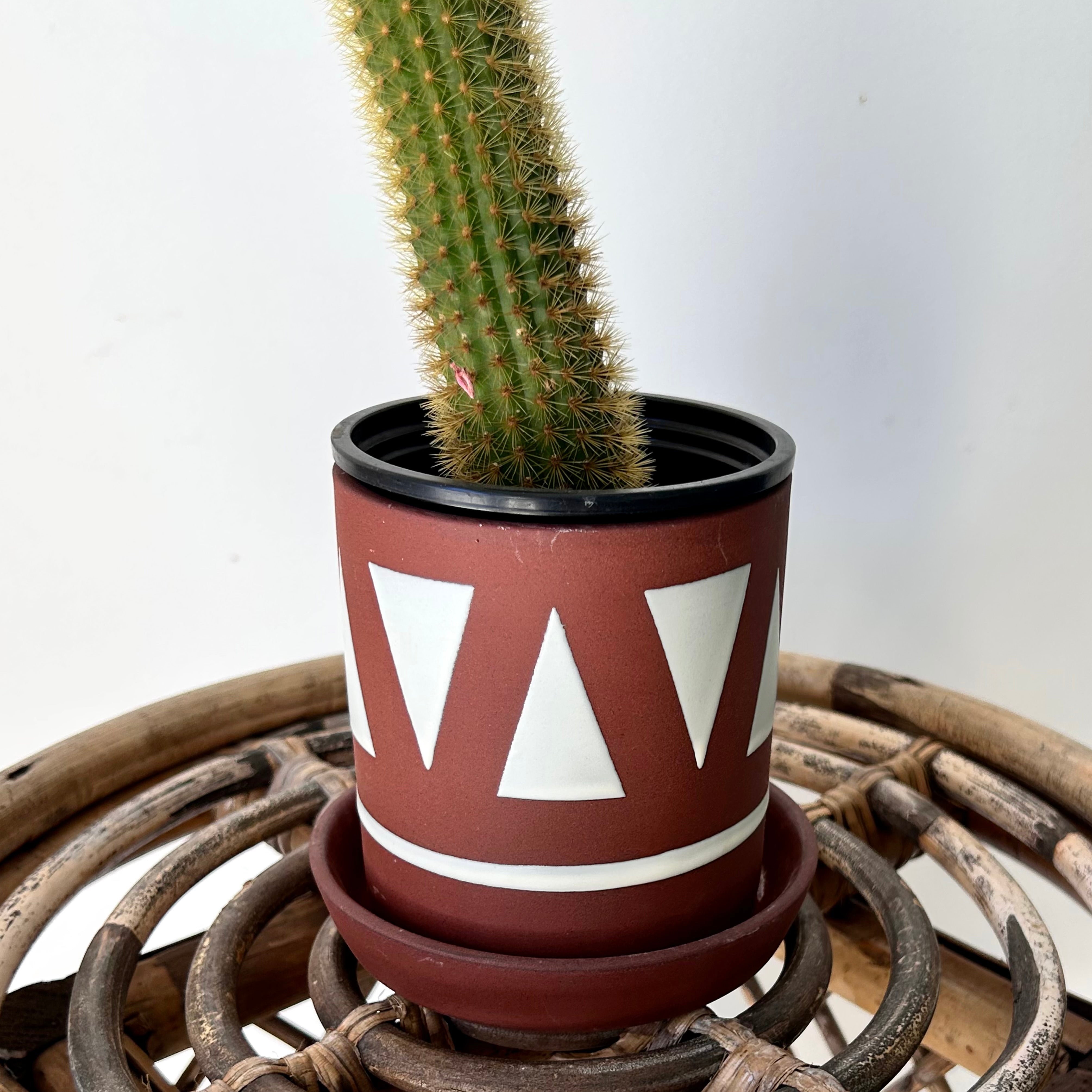 TAJIN Decorative Planter with saucer  (3.25”x3.75”)