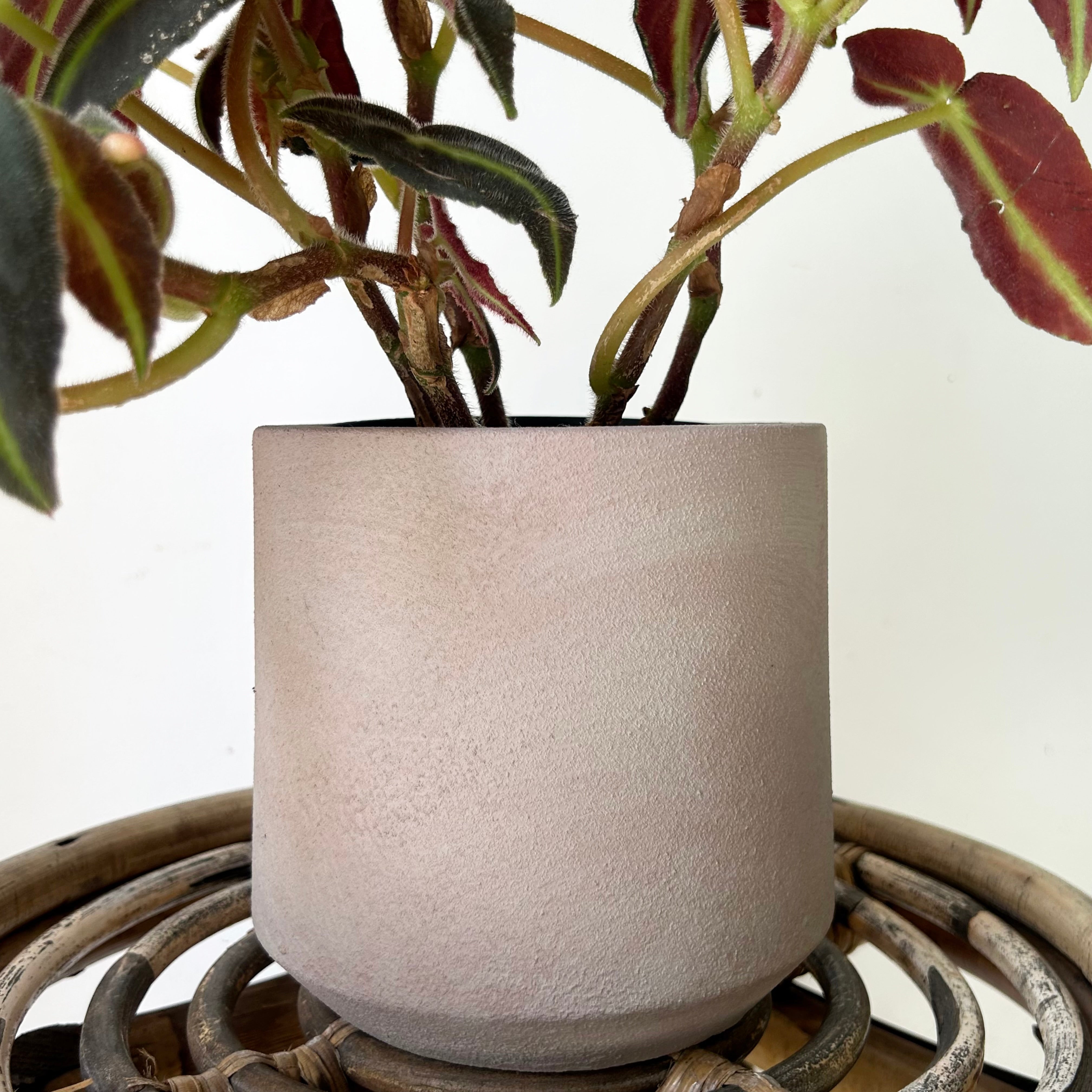 LUCIANA Decorative Pot (5”x5”)