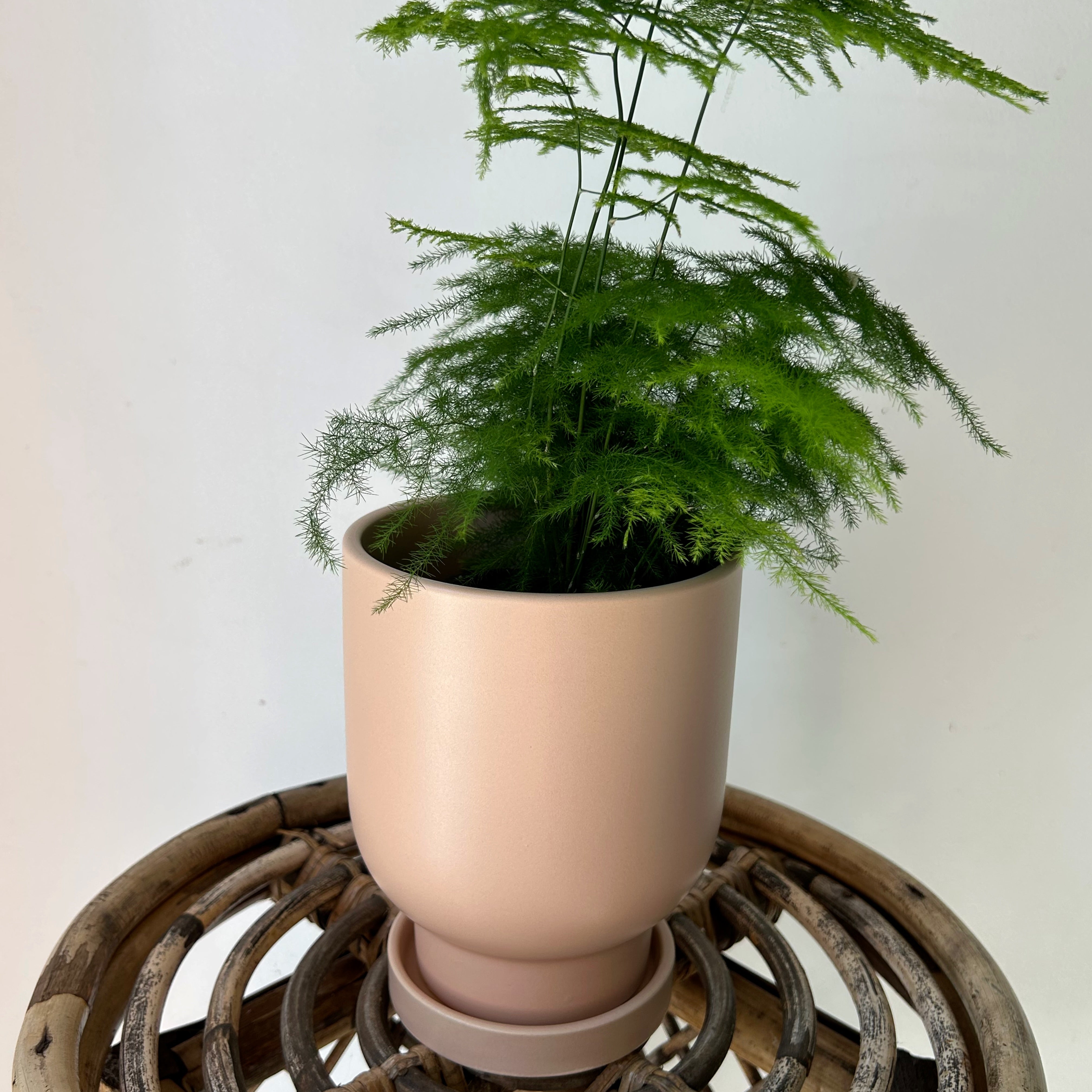 TARRYTOWN Pot with Saucer PASTEL PEACH (4.5"x5.5")