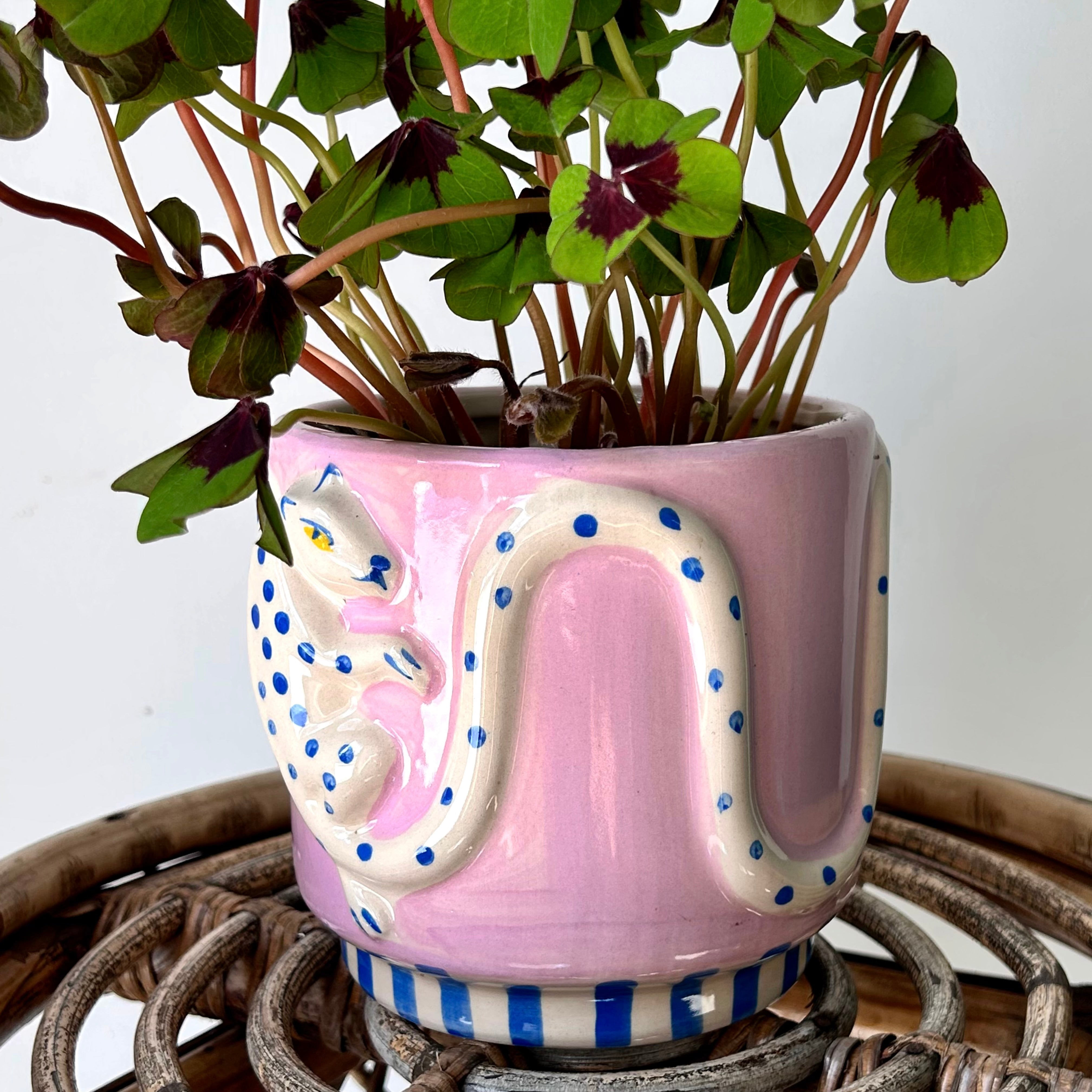 LEOPARD WILD TAILS Decorative Planter (4.5”x4.75”)