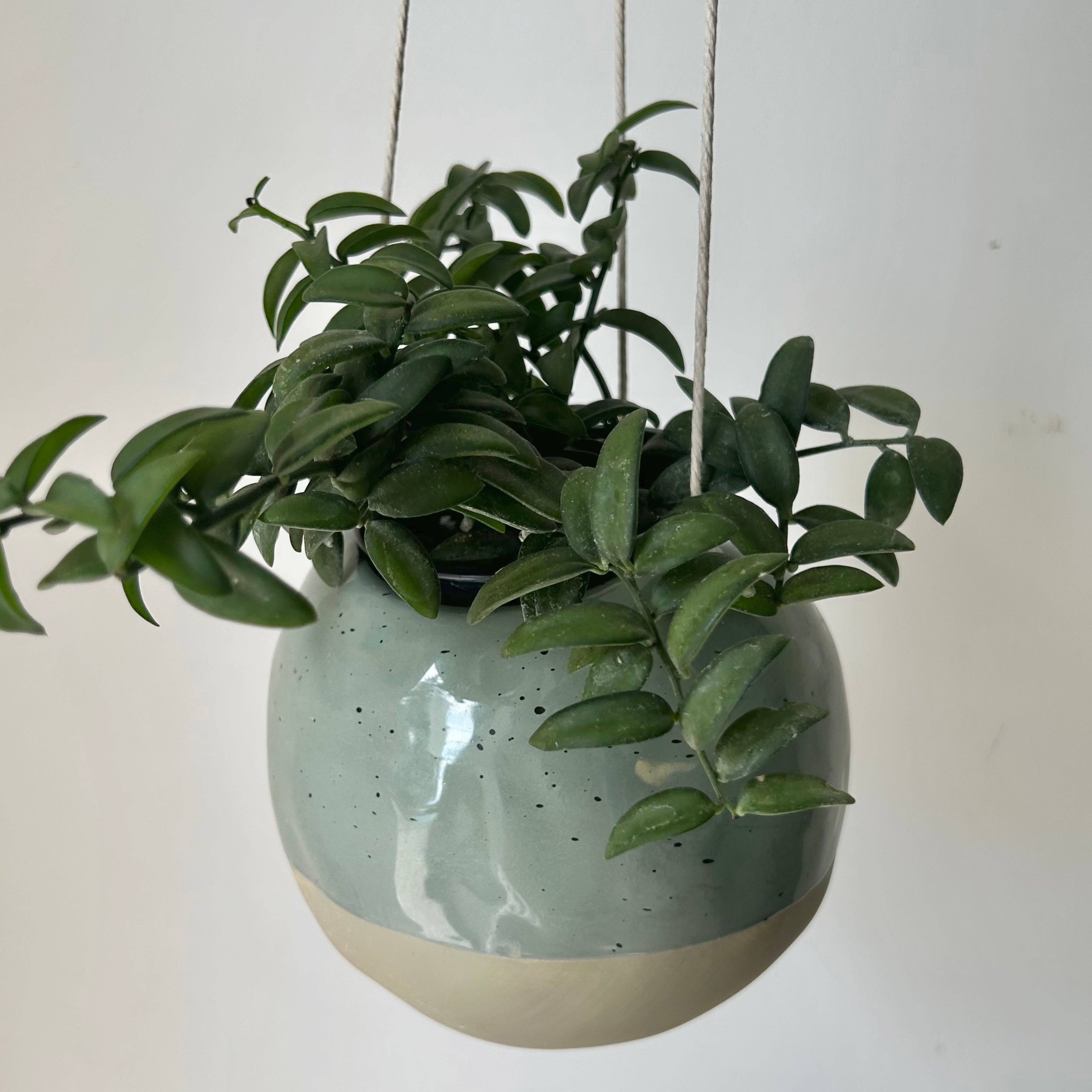 GEO spherical hanging planter (3.5”x5”)