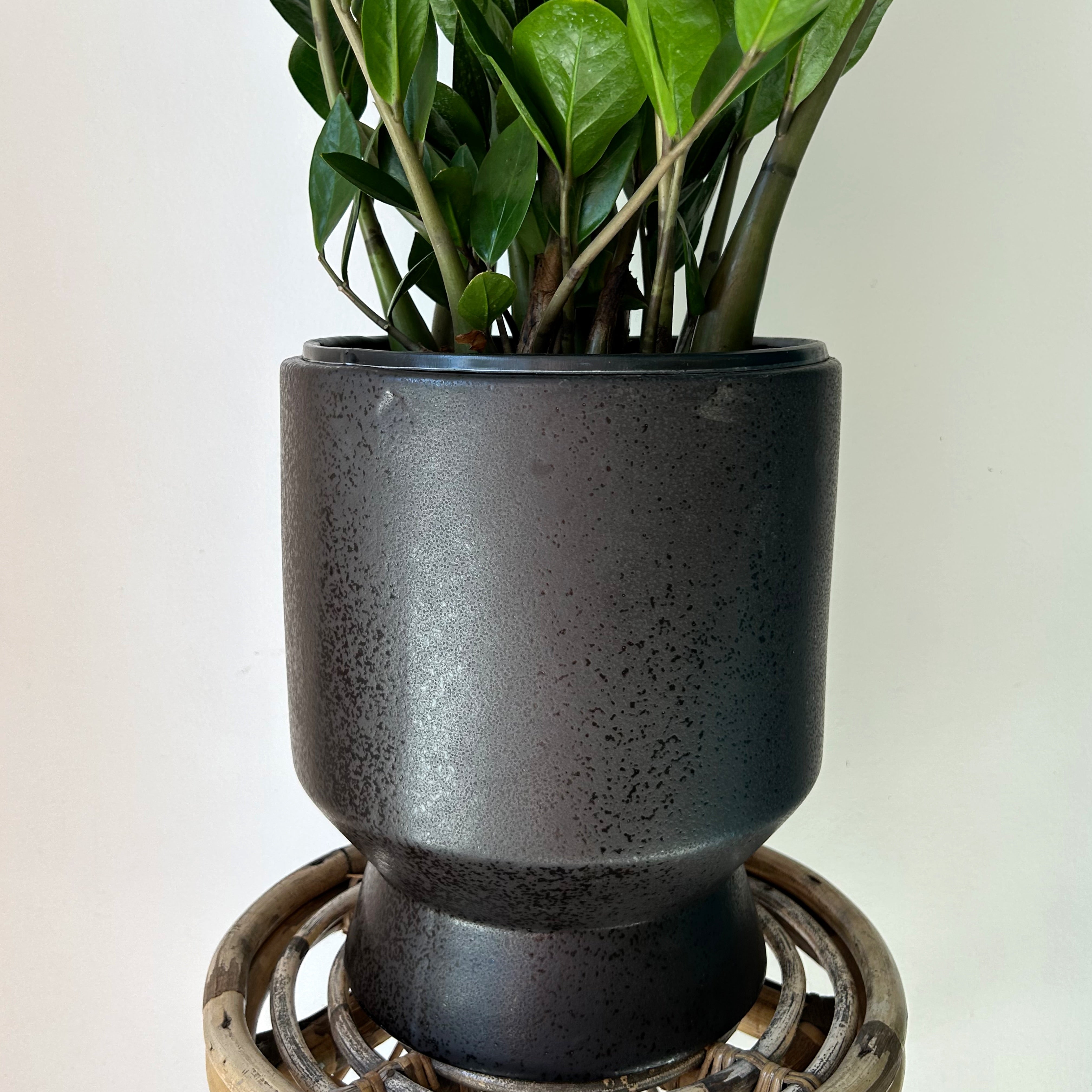 HUDSON Large Modern Decorative Pot (9”x11”) BLACK