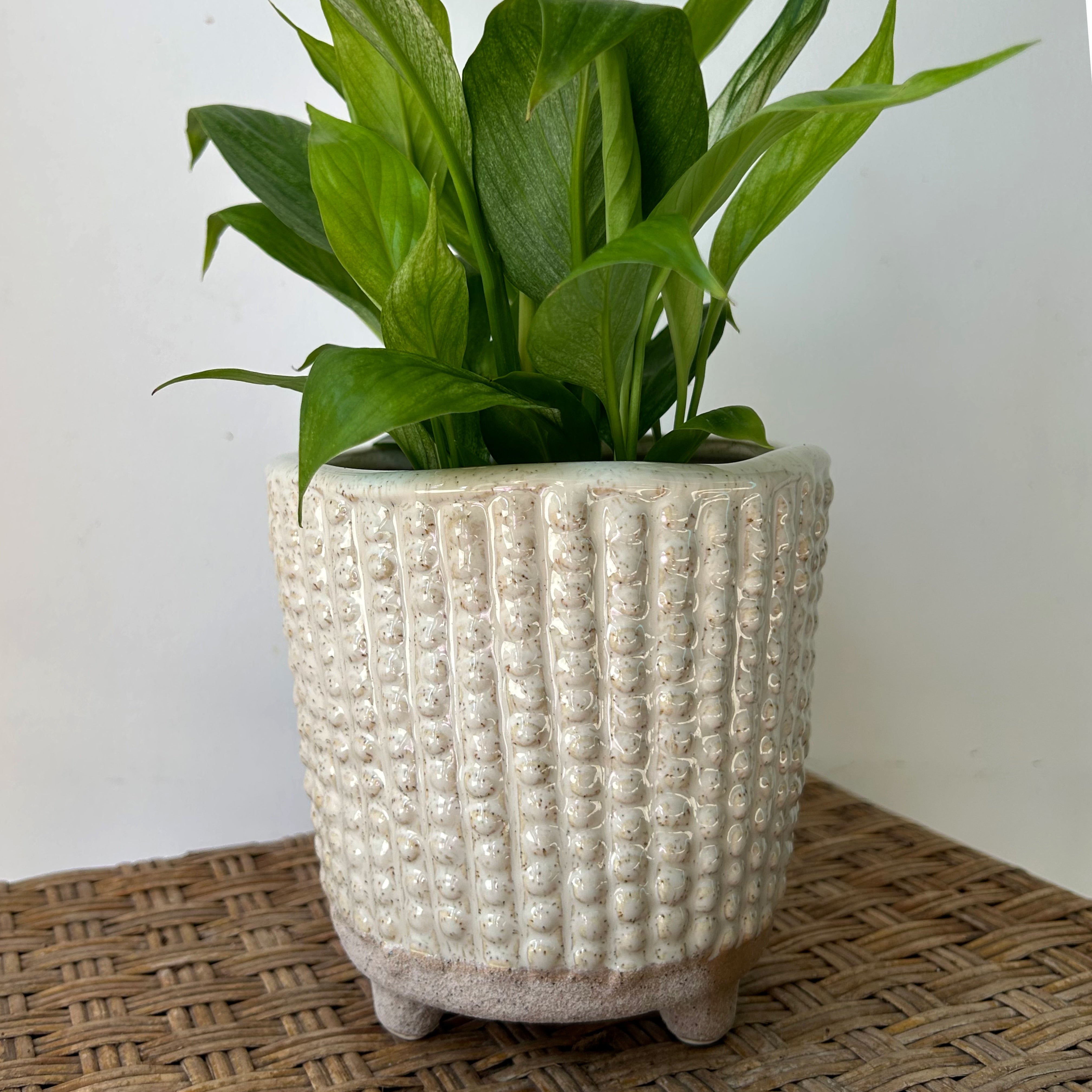 ELIAS Decorative Footed Pot ( 5"X5")