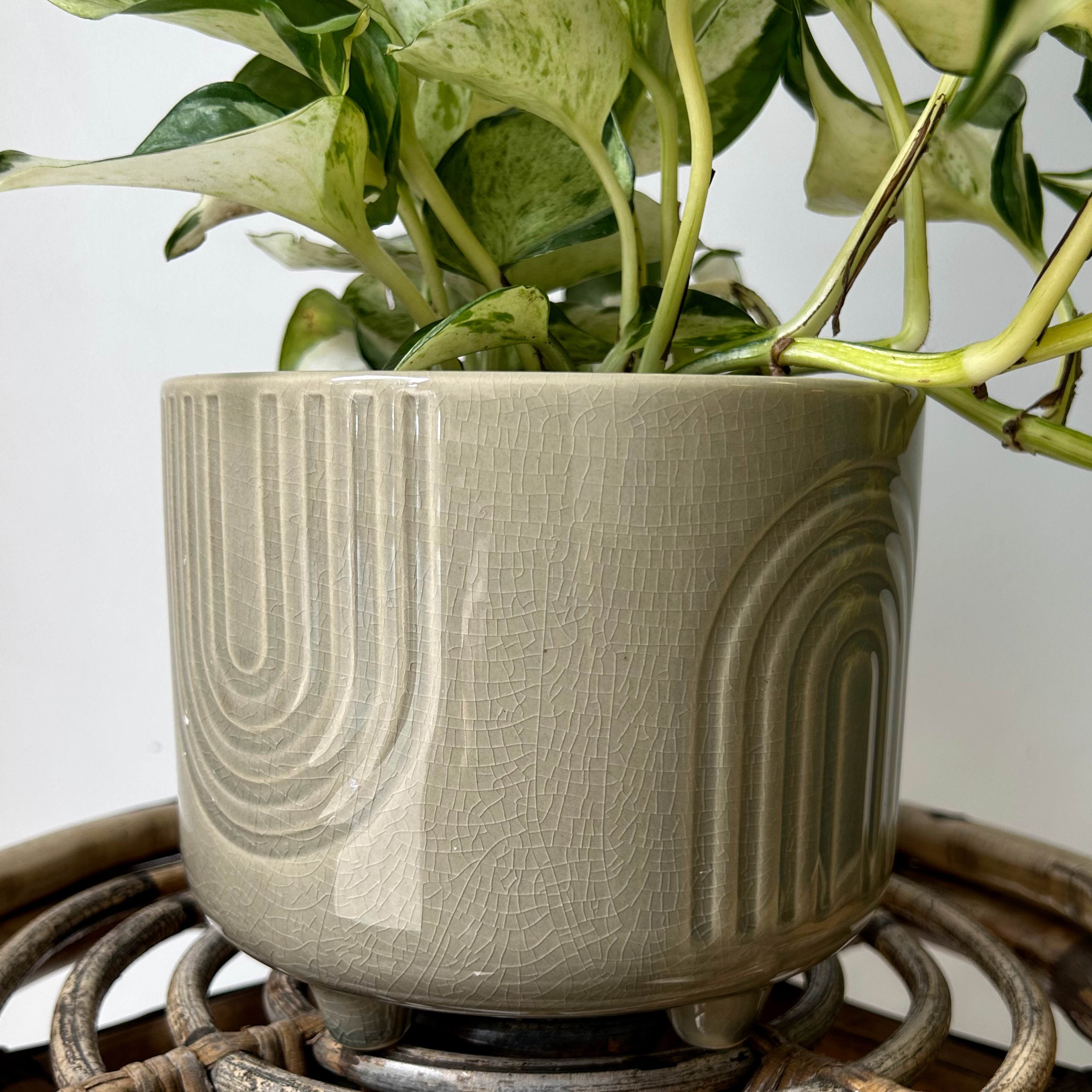 TEMPLE Decorative footed pot Olive Green (available in two sizes)